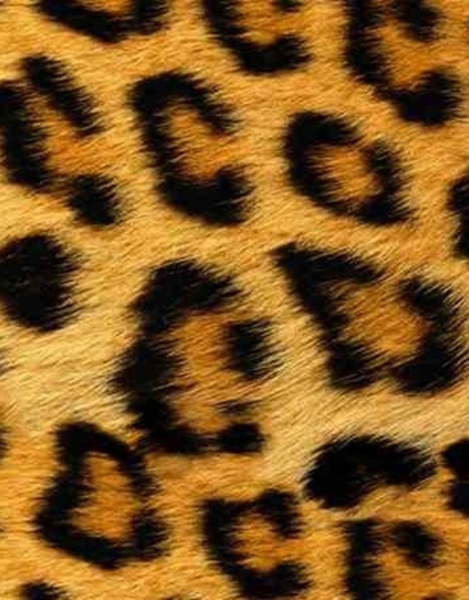 Easy Pattern bedrukte flex in luipaardprint - Siser Wild Leopard - op 30cm hoogte