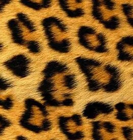 Easy Pattern bedrukte flex in luipaardprint - Siser Wild Leopard - op 30cm hoogte