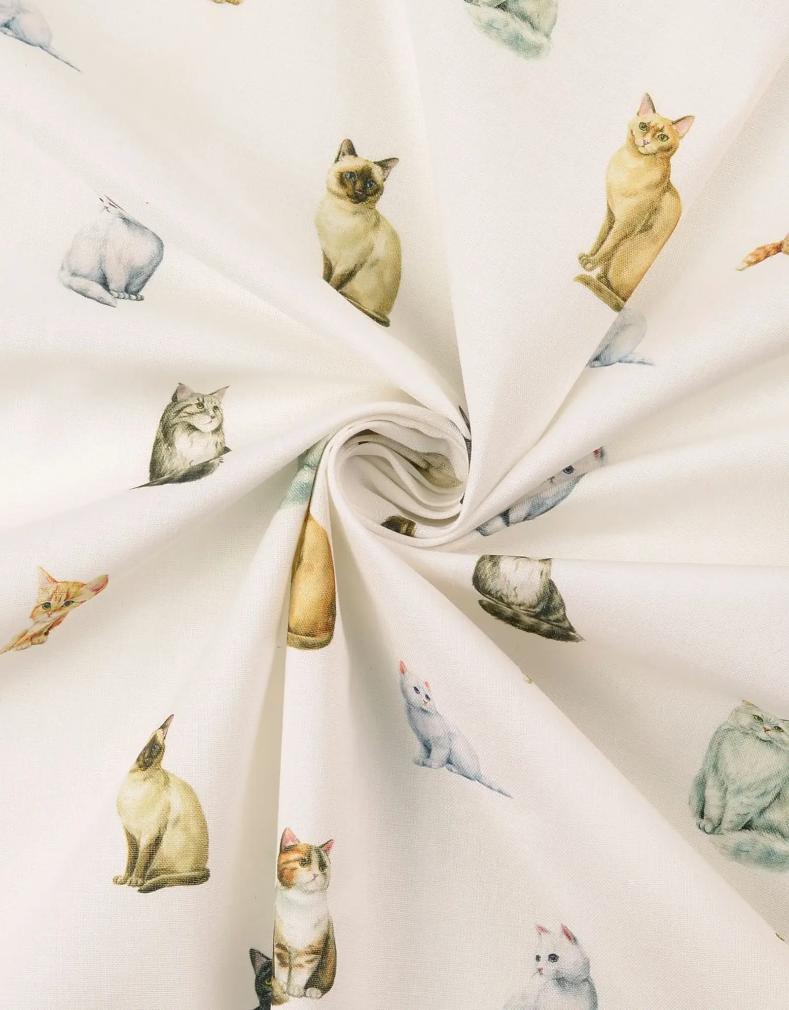 Digitaal bedrukt popline katoen wit katten kittens