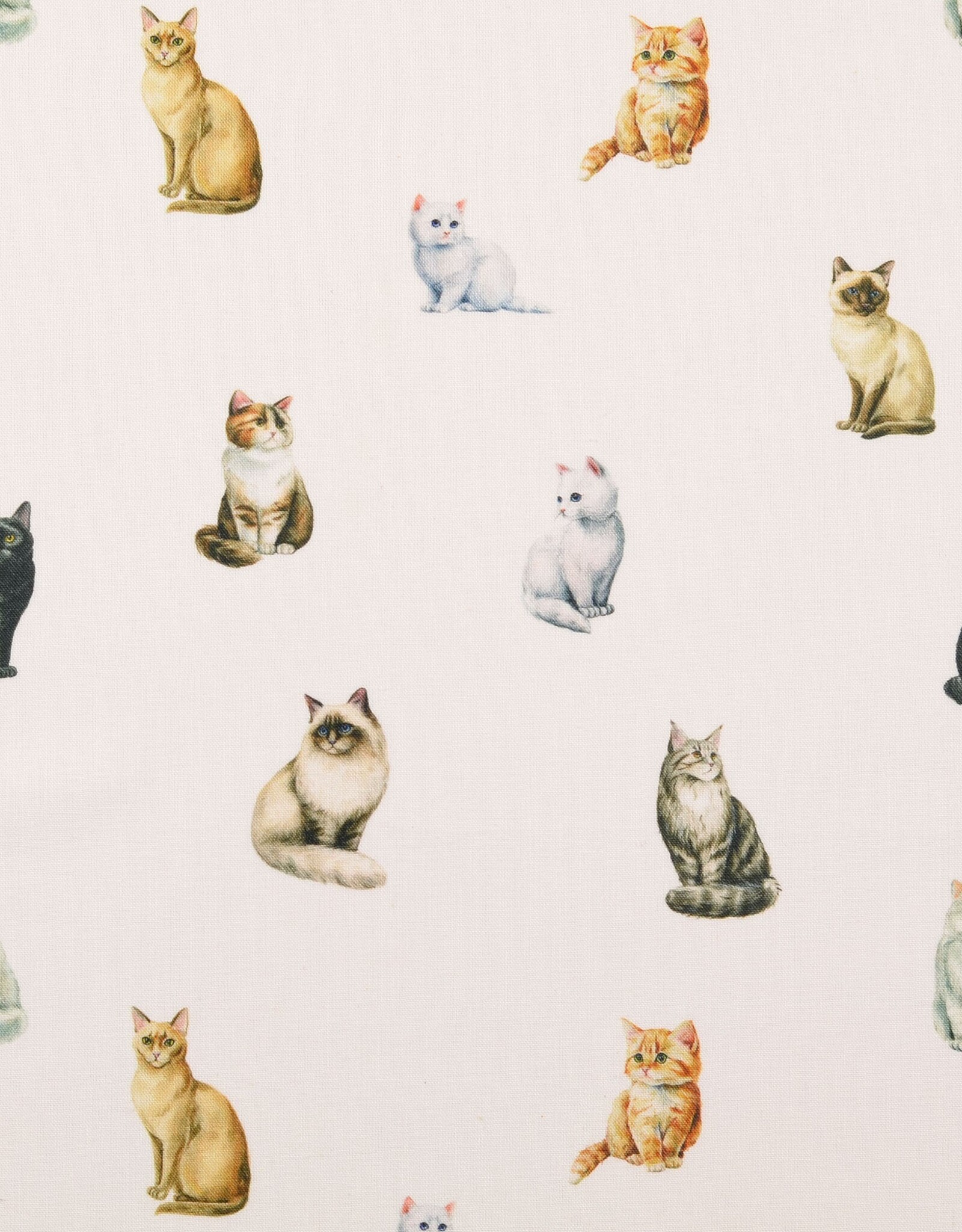 Digitaal bedrukt popline katoen wit katten kittens