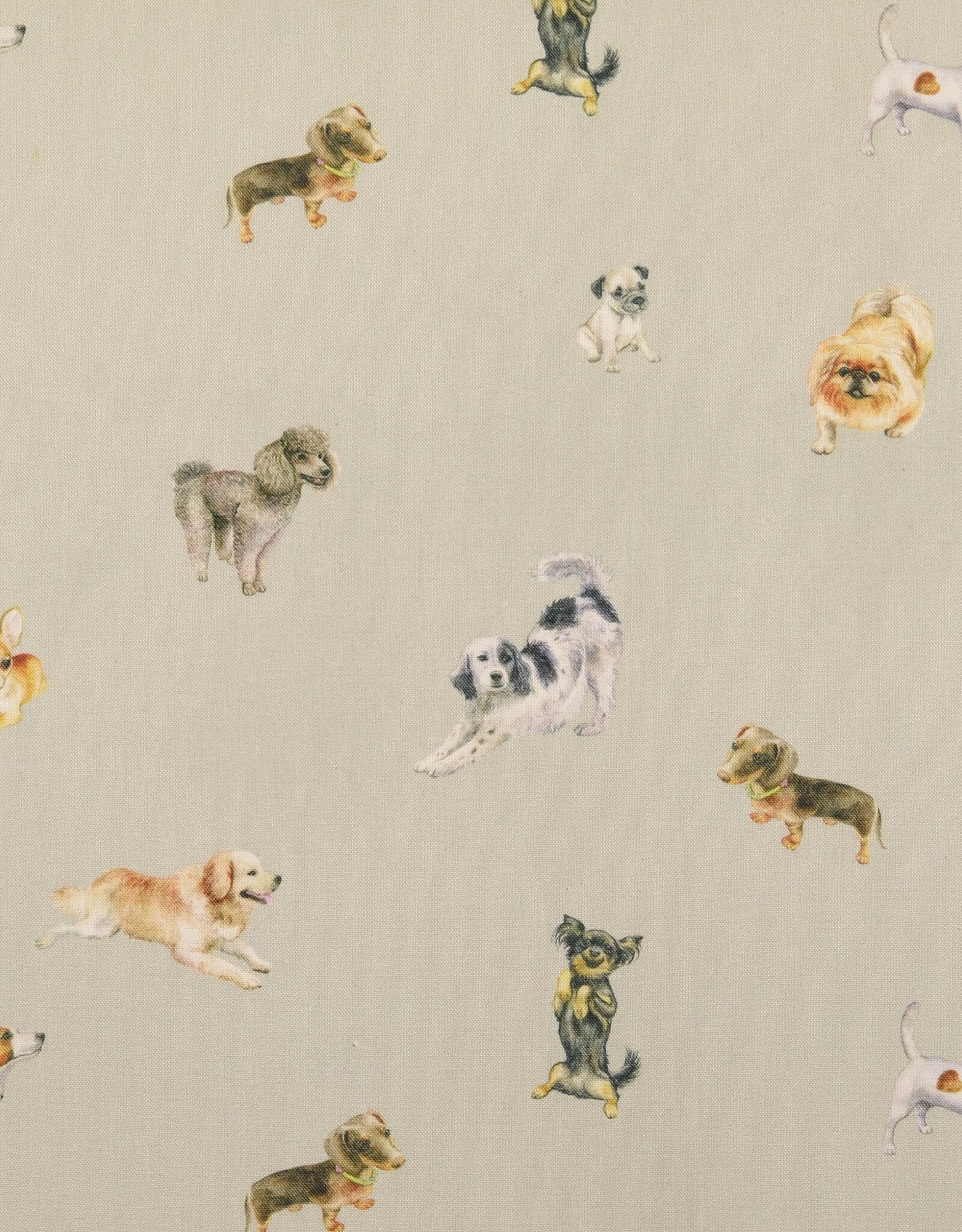 Digitaal bedrukt popline katoen lichtgrijs honden dogs