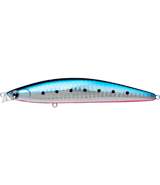 IMA iBORN 118F Shallow