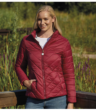 Champion Champion Frensham Padded Jacket