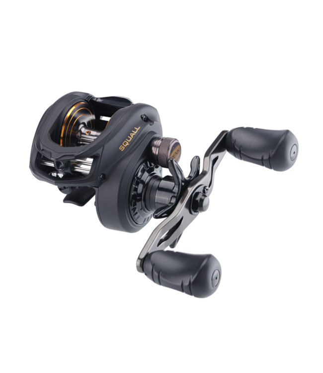 Penn Squall 300 LP LH