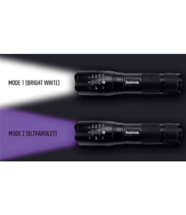 Dual UV/LED Torch