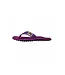 Gumbies Islander Purple Hibiscus