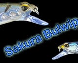 A Quick Look at the Sakura Bulwip