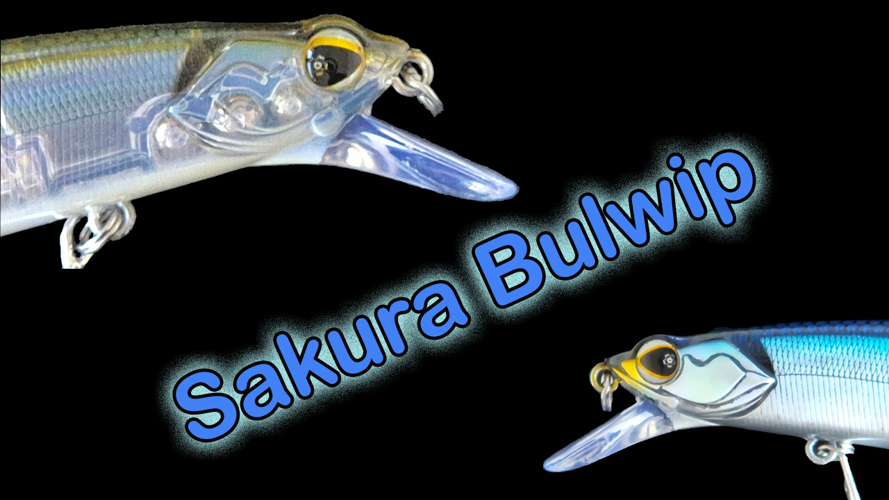A Quick Look at the Sakura Bulwip