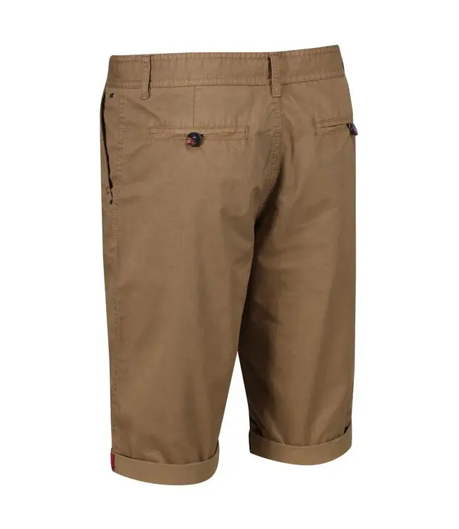 Regatta Mens Santino Shorts