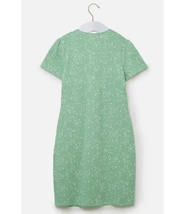 Lighthouse Lena Dress Soft Green Floral