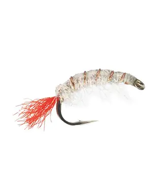 TURRALL MULLET SHRIMP PEARL #12