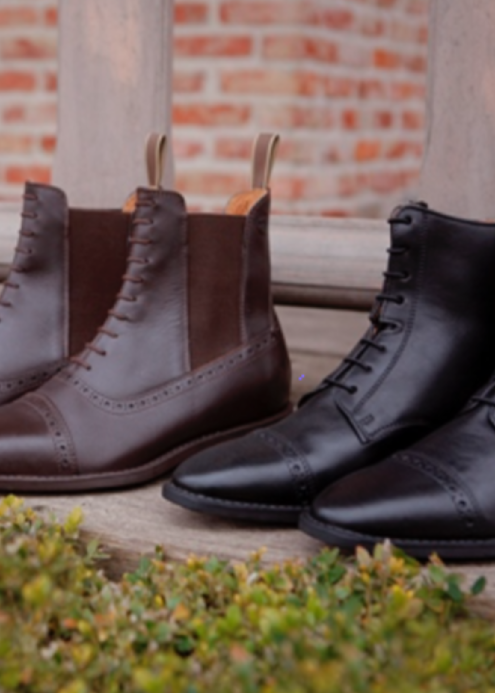 Equilook Equilook Martina schoenen