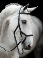 Horseware Horseware Rambo Micklem Competition  Hoofdstel