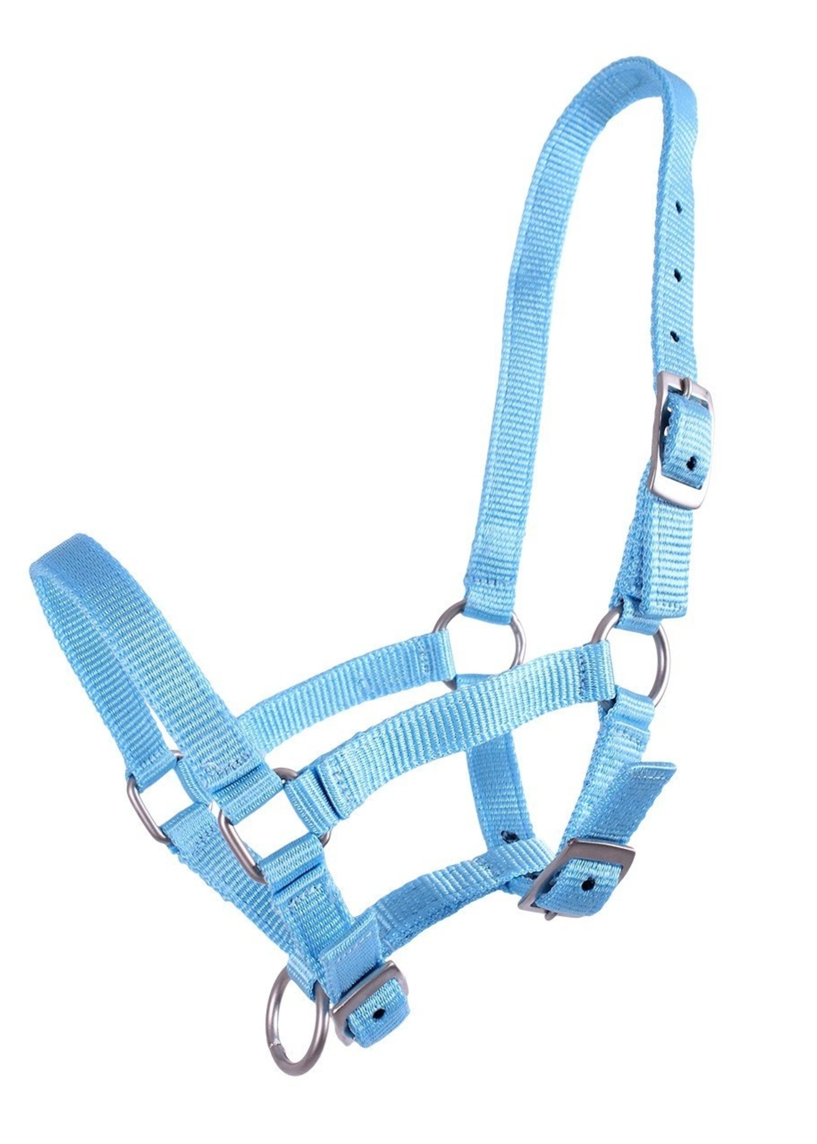 QHP QHP Basic Halster veulen