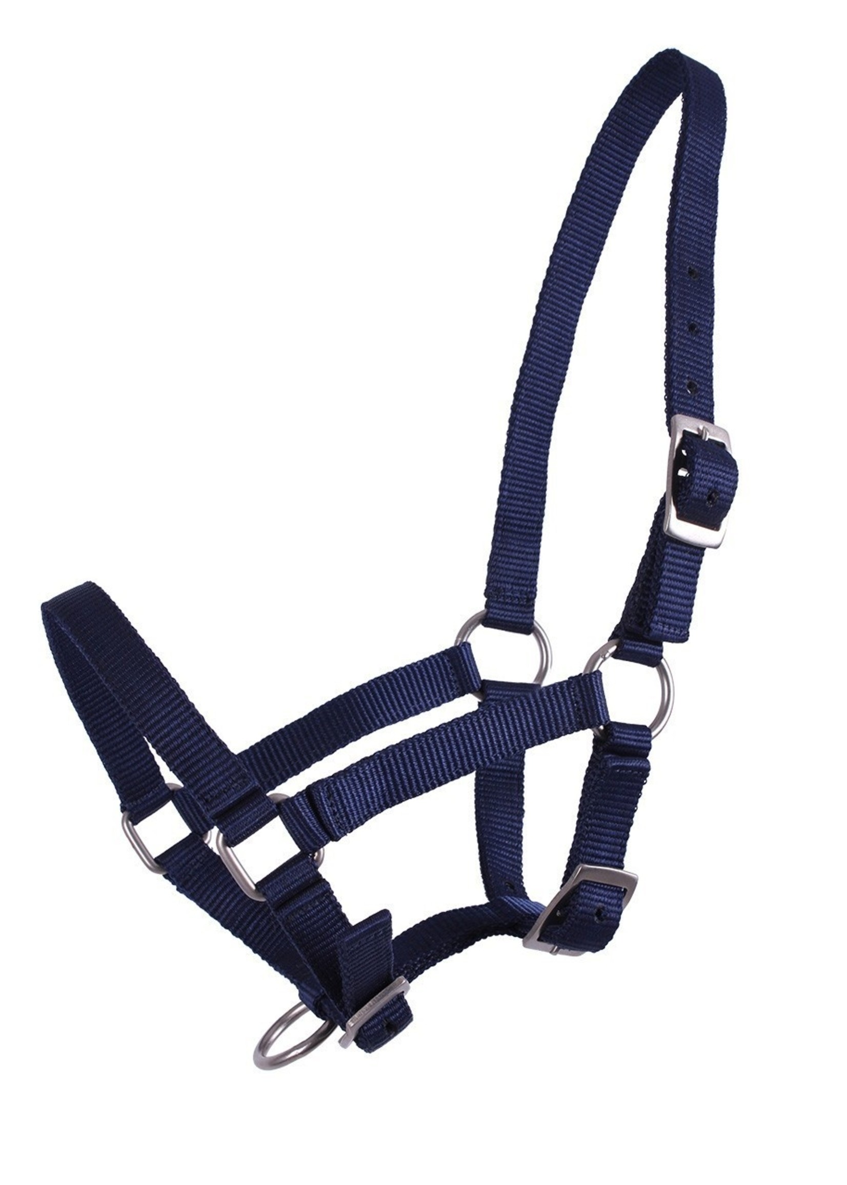 QHP QHP Basic Halster veulen