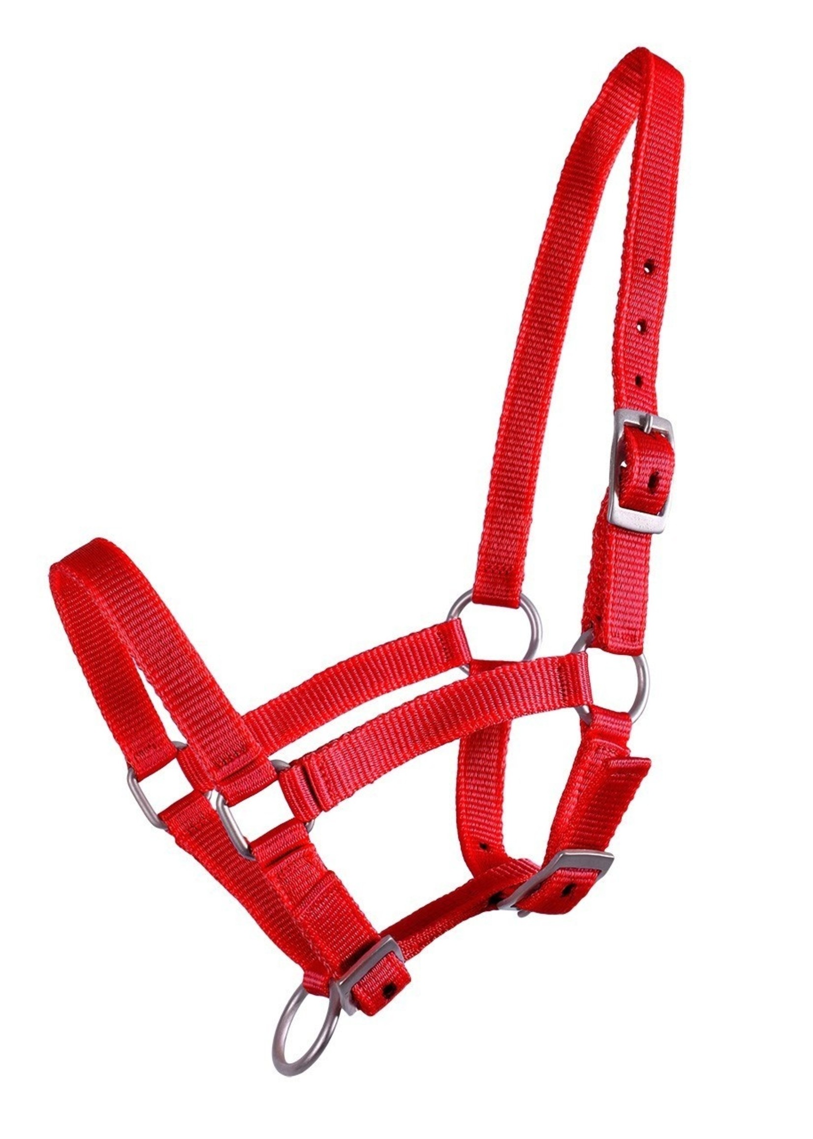 QHP QHP Basic Halster veulen