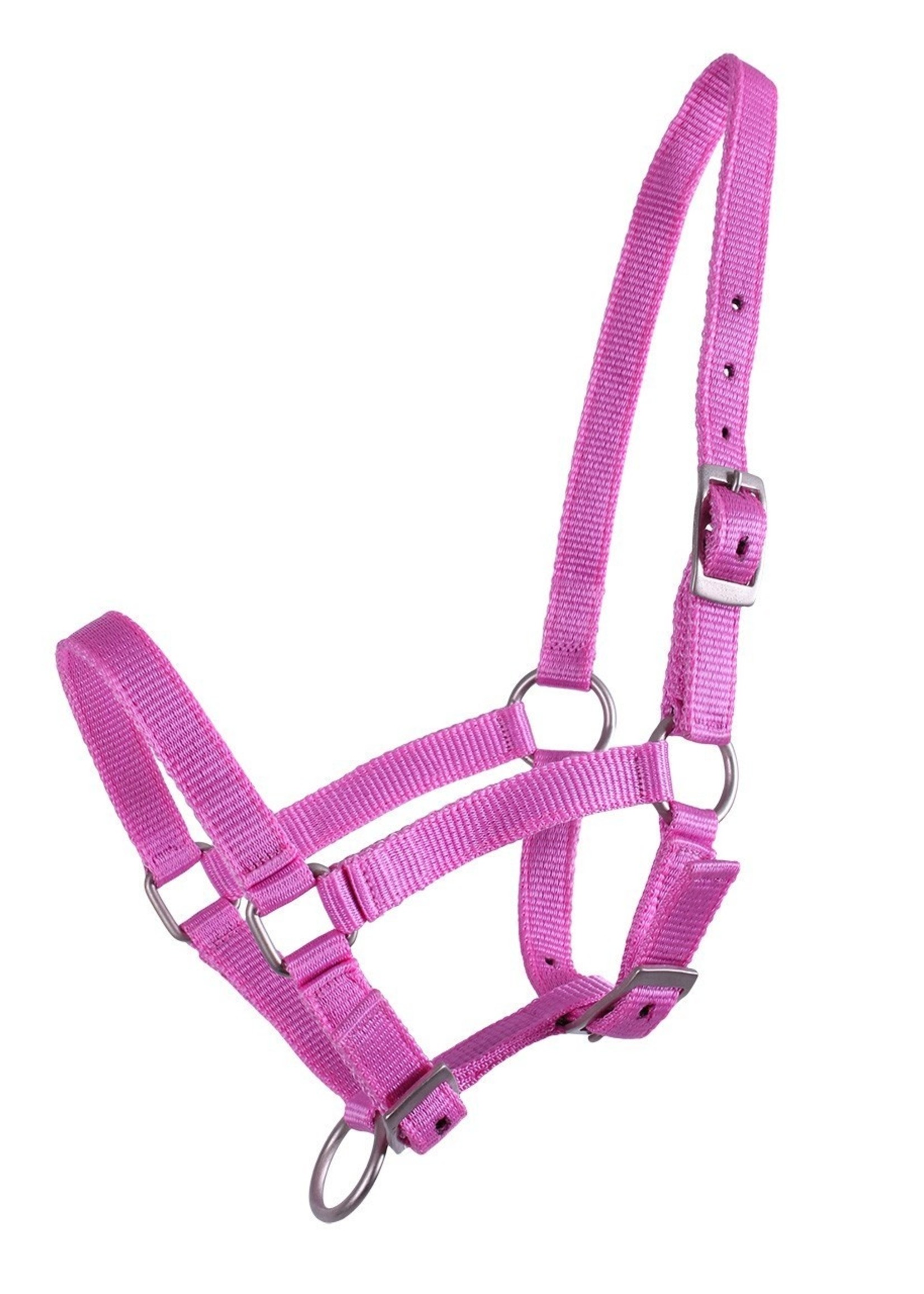 QHP QHP Basic Halster veulen