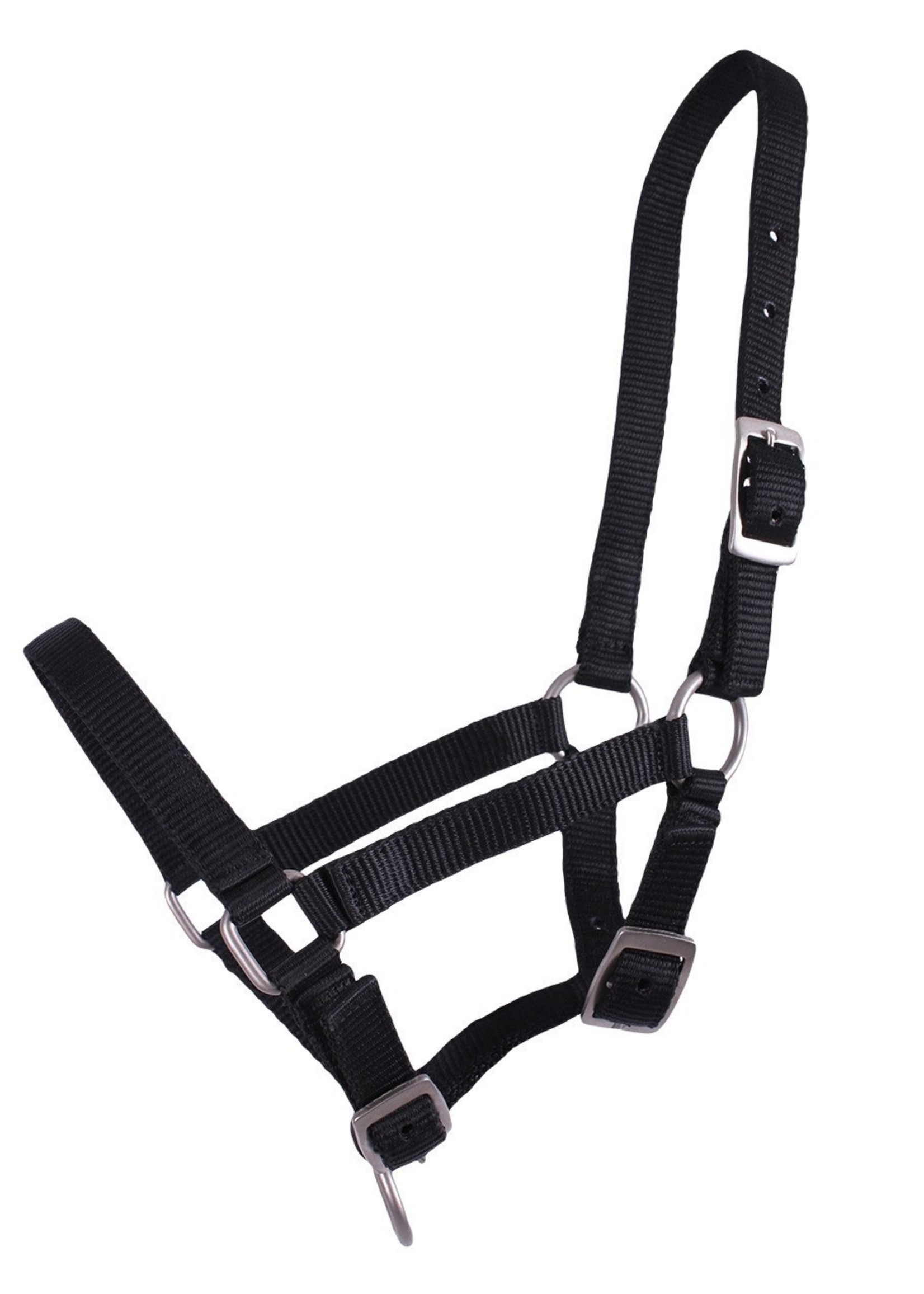 QHP QHP Basic Halster veulen