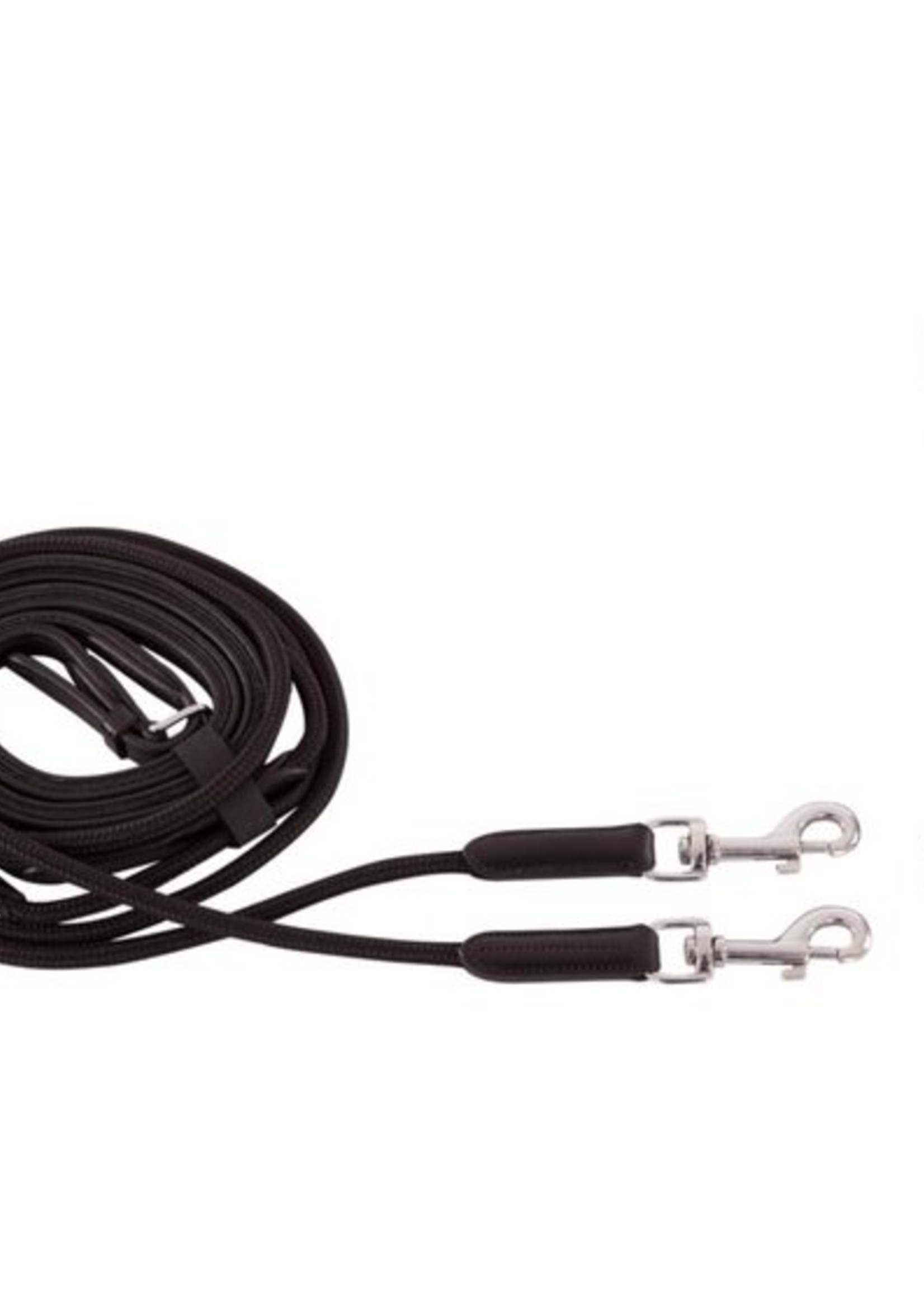 BR BR Slofteugel Norwich