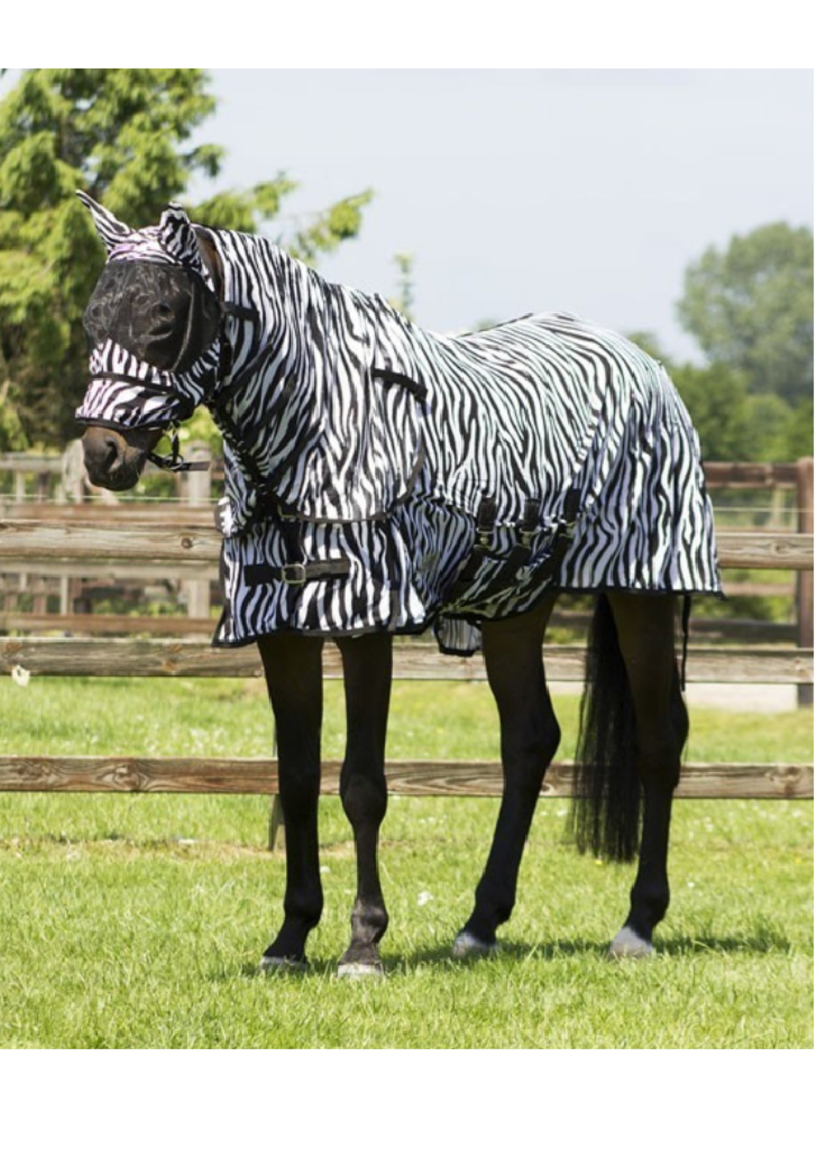 QHP QHP Vliegendeken met nek en kap