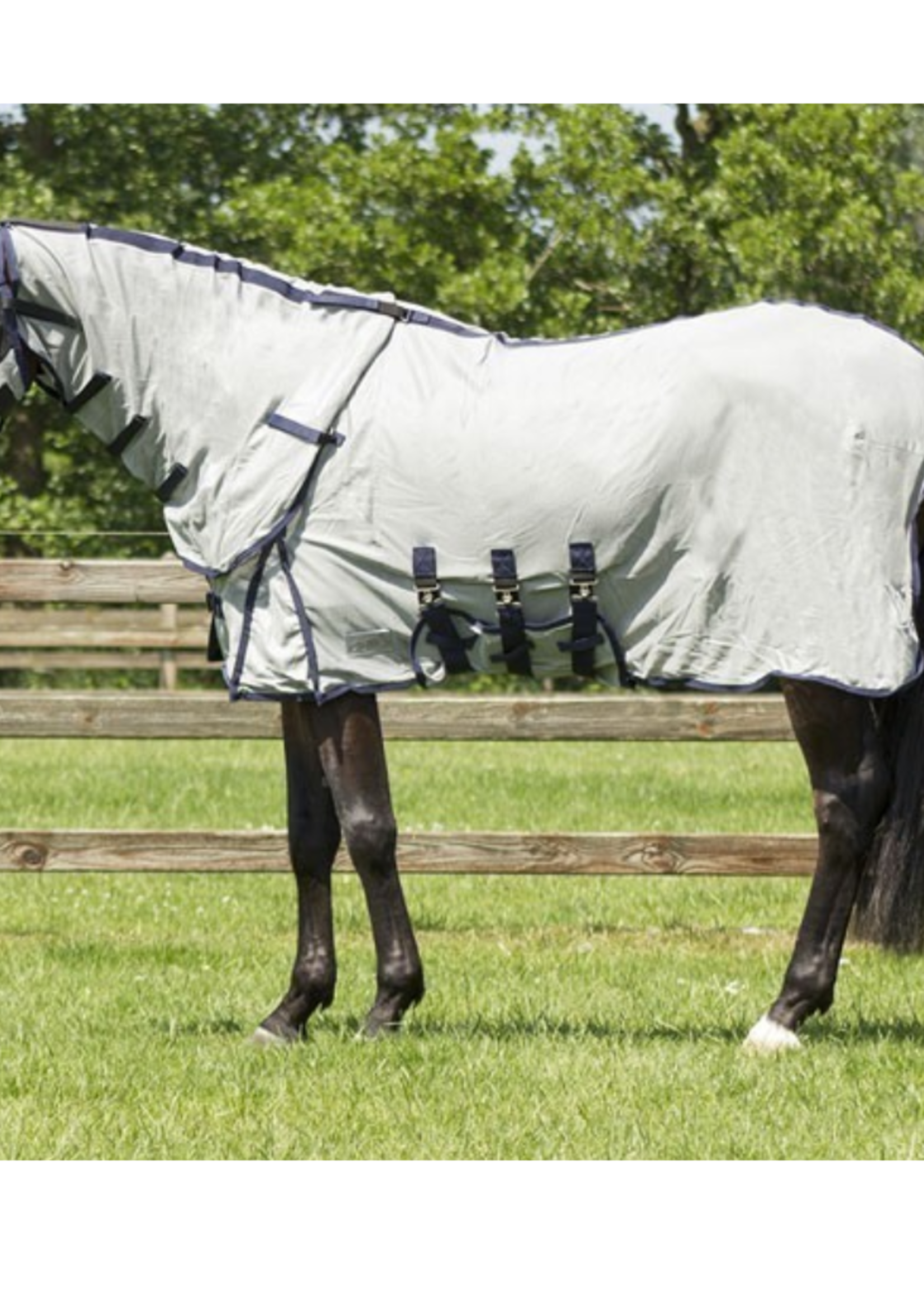 QHP QHP Vliegendeken met nek en kap