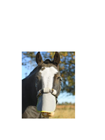 Equilibrium Equilibrium tegen zonnebrand Neusbeschermer