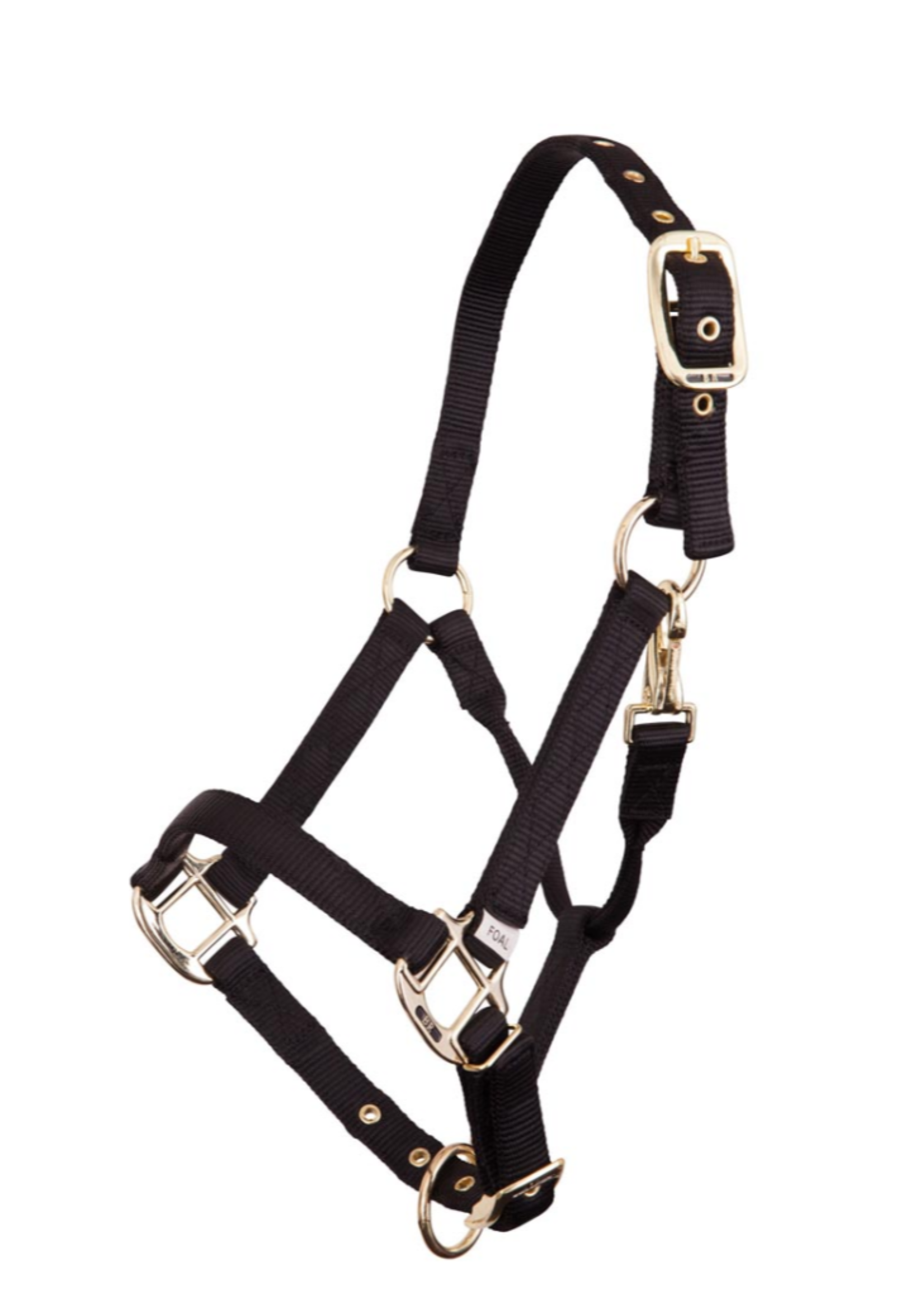 BR BR Veulen Halster (vanaf 5 maanden)