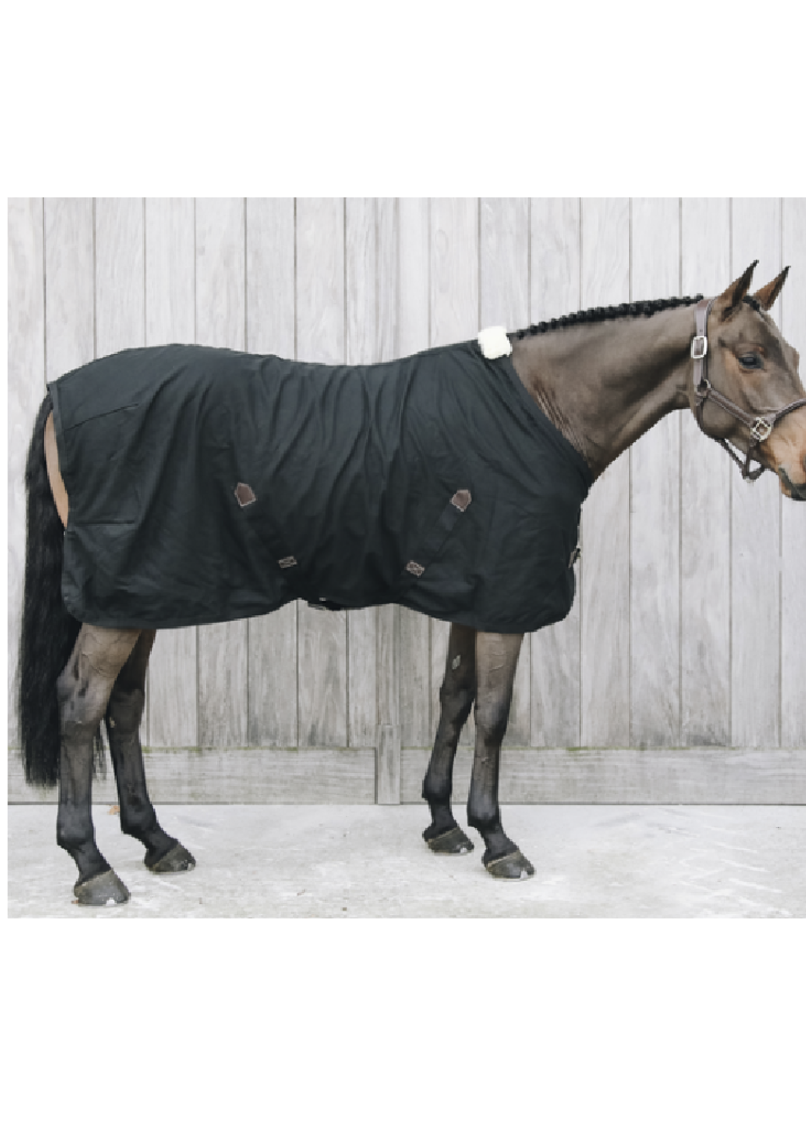 Kentucky Kentucky Cotton Sheet Deken