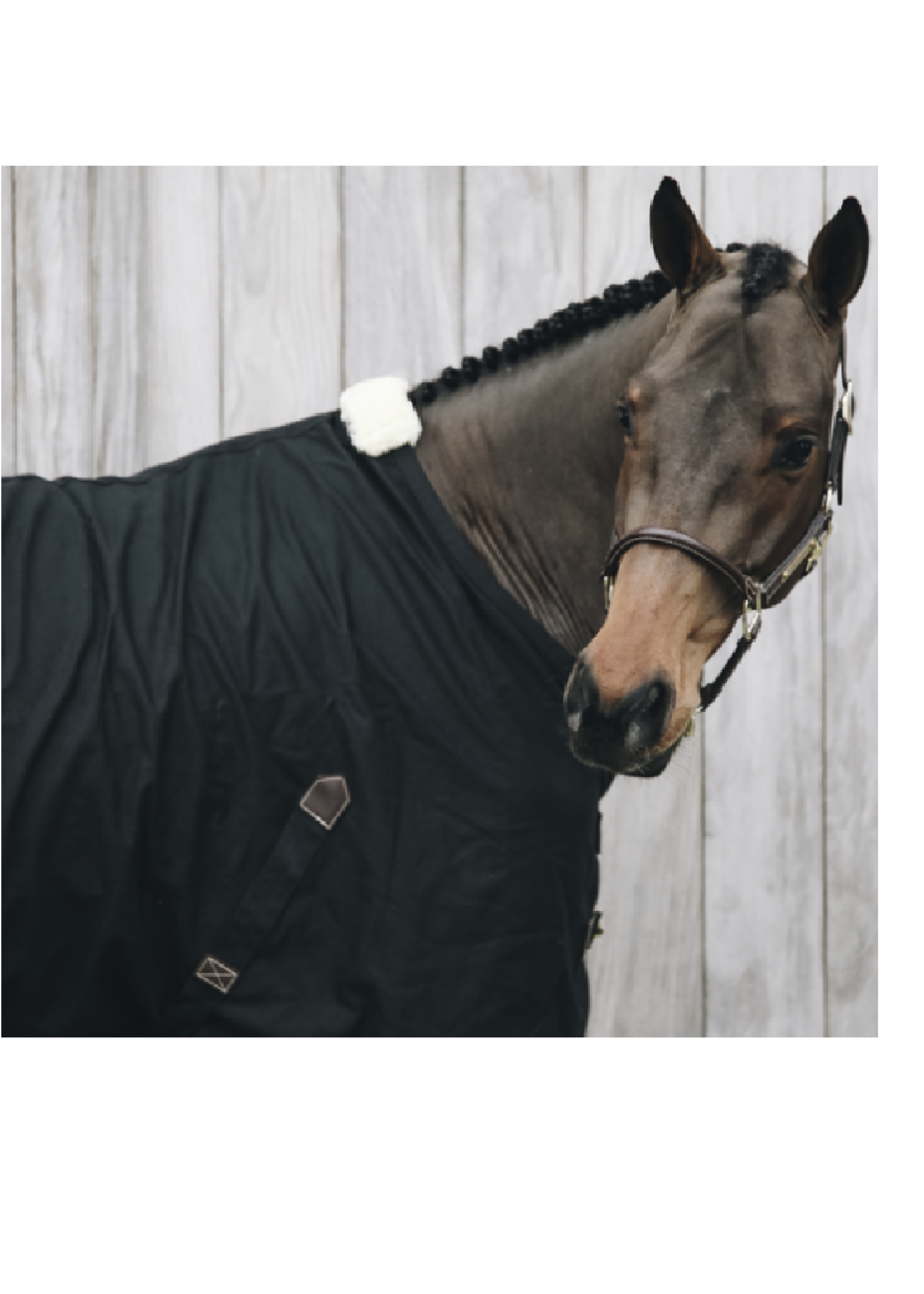 Kentucky Kentucky Cotton Sheet Deken