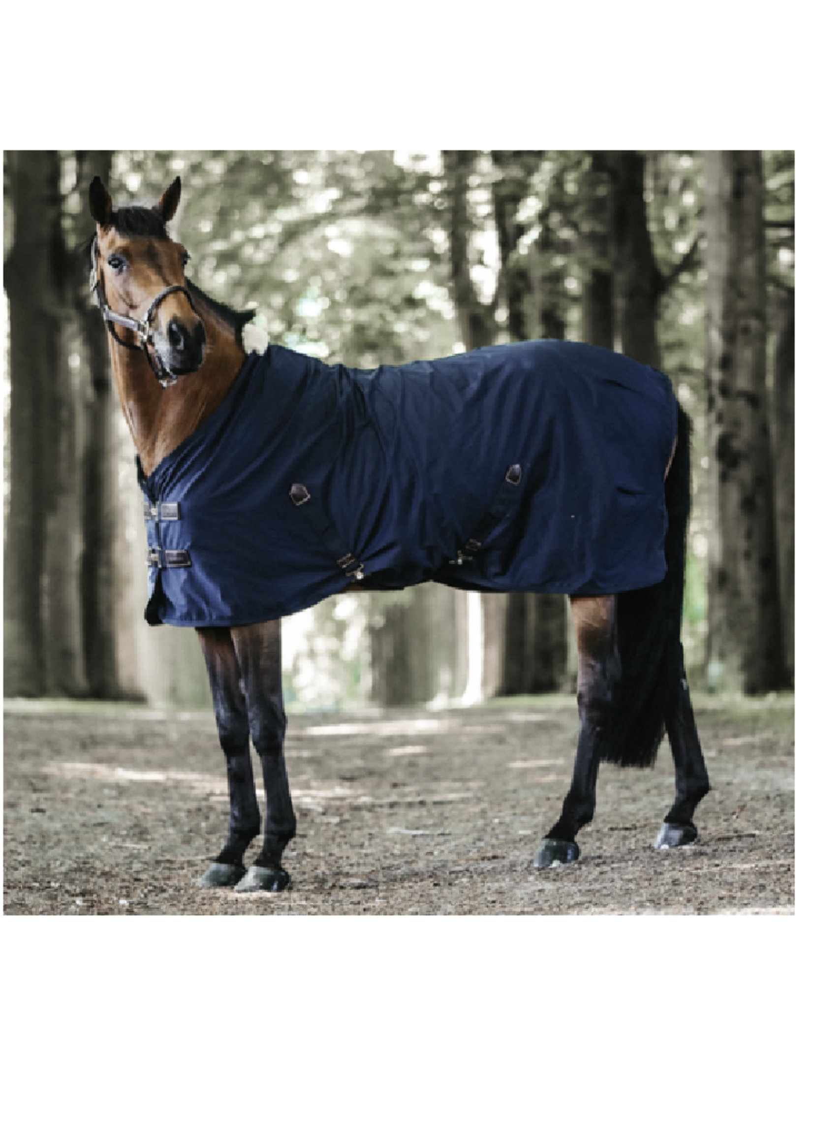Kentucky Kentucky Cotton Sheet Deken