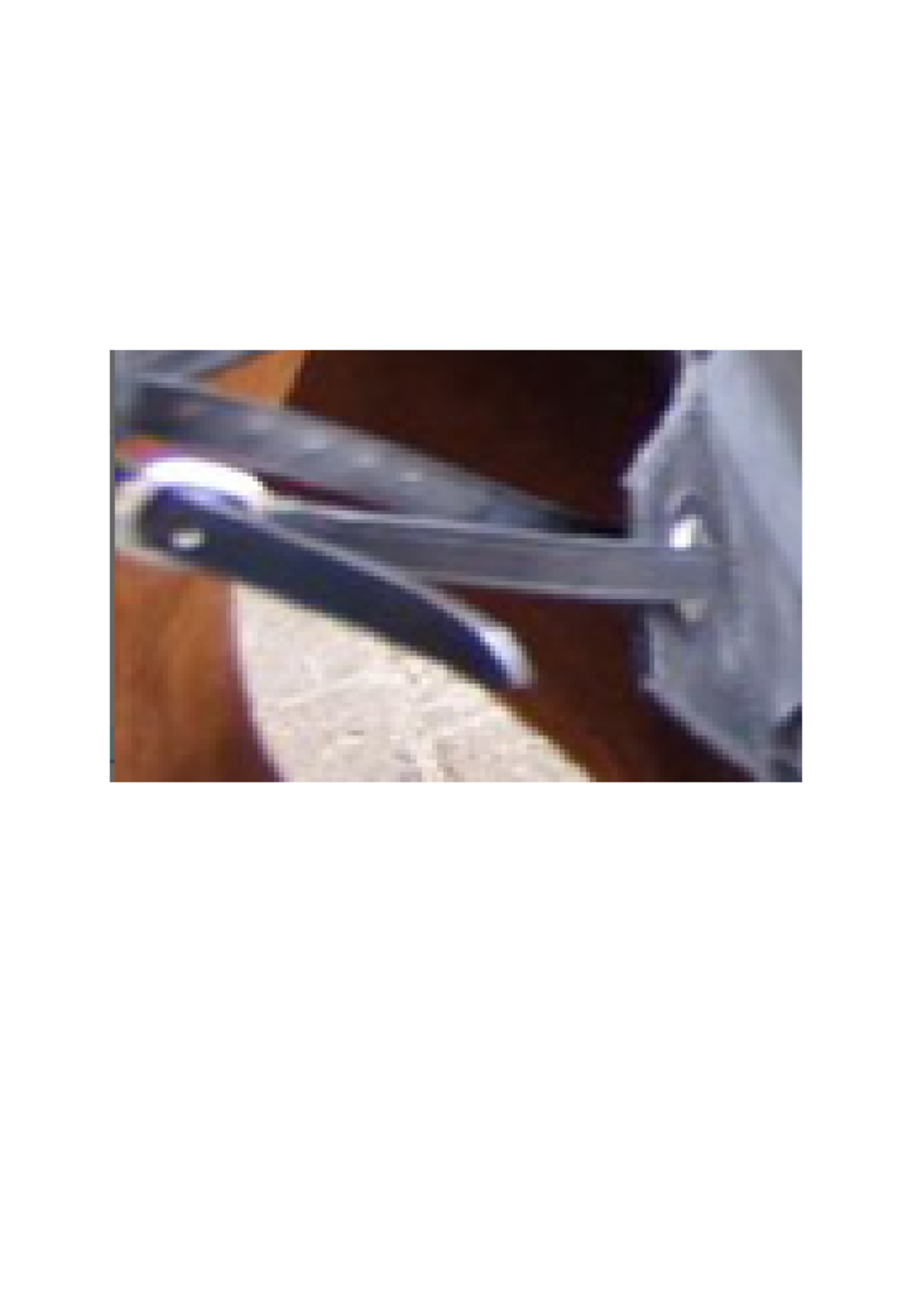 Ideal Ideal Nylon Riempjes voor Mestopvangzak 2st.