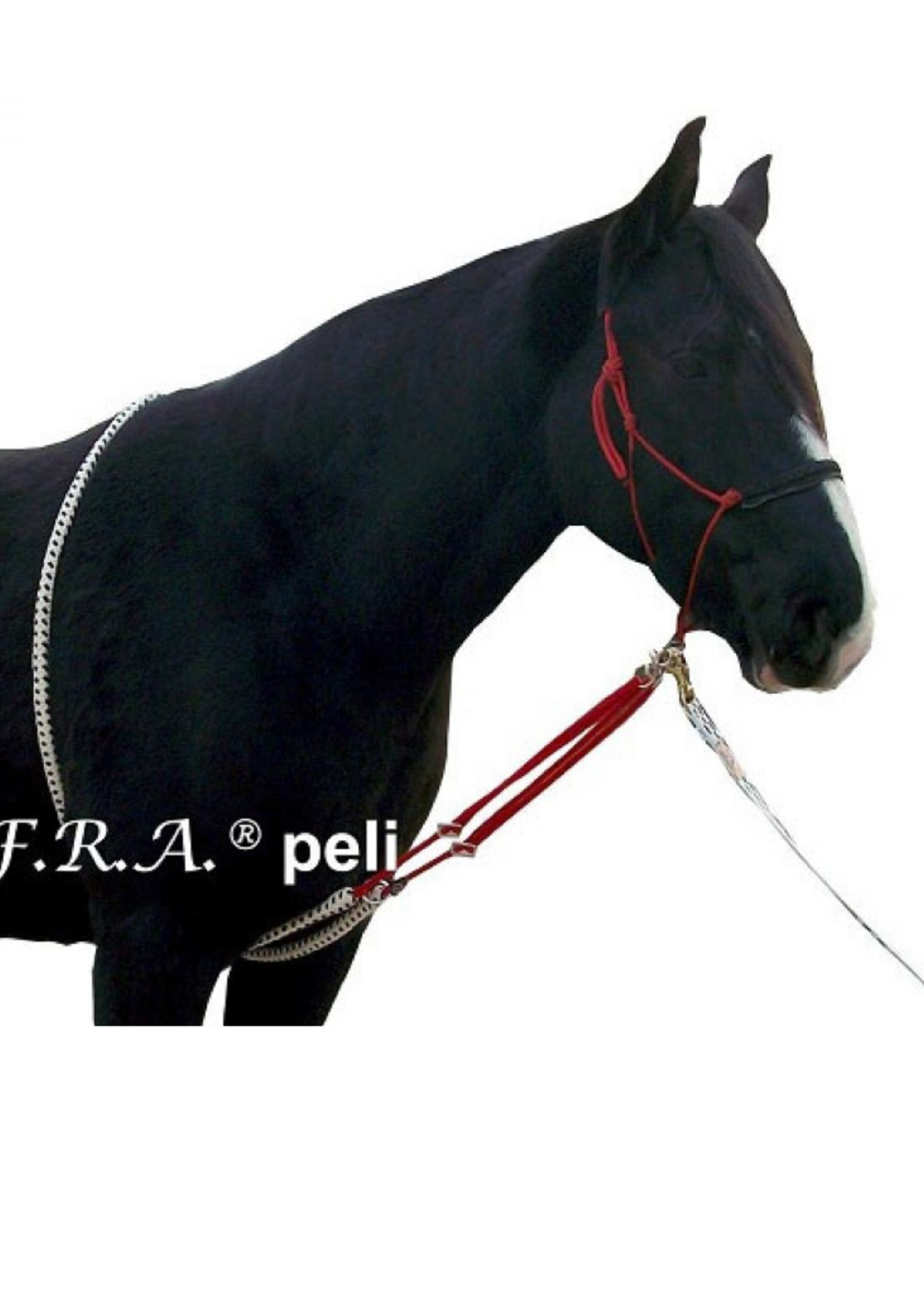 FRA FRA Peli Longeerhulp