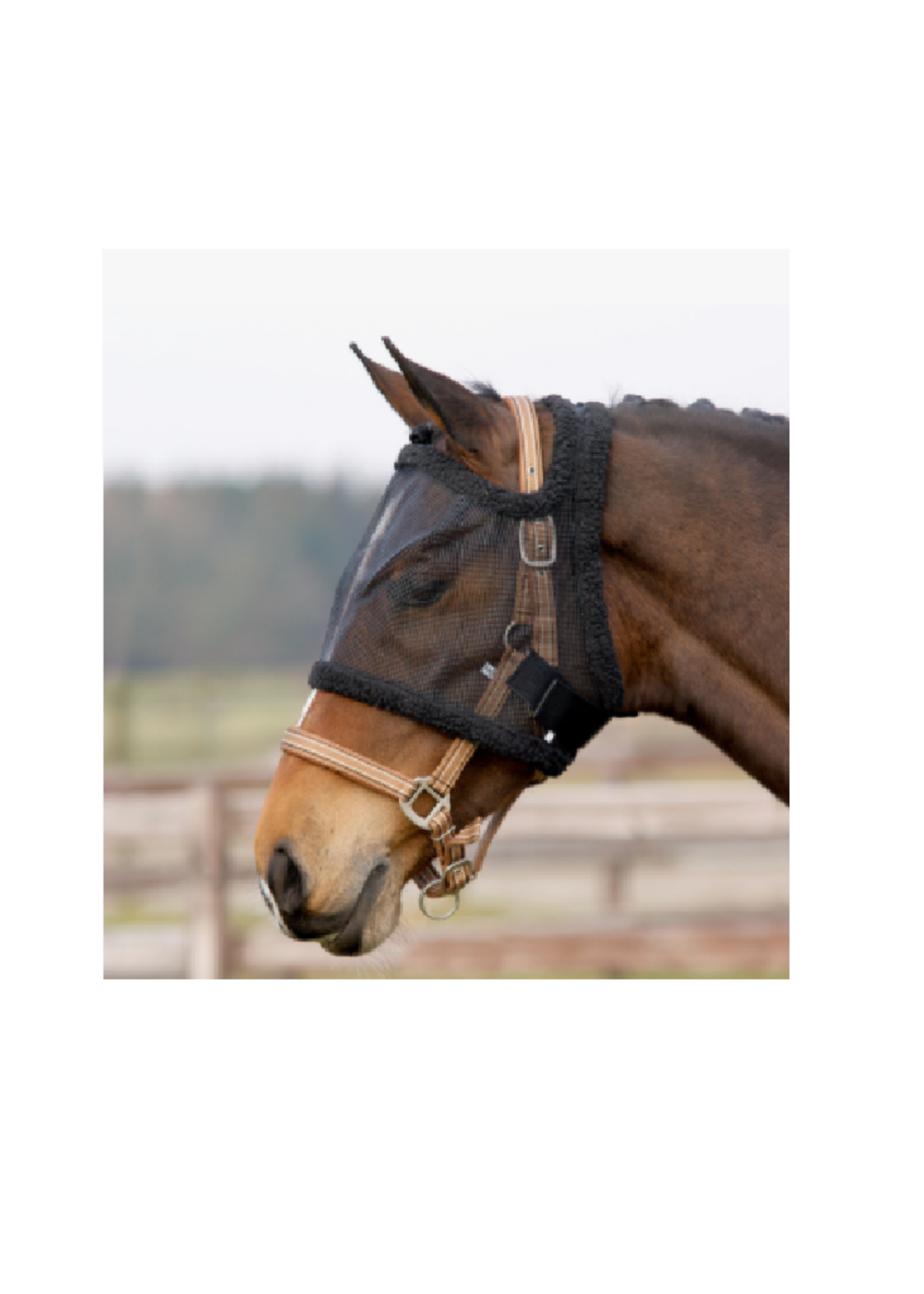 QHP QHP Vliegenkap zonder oren