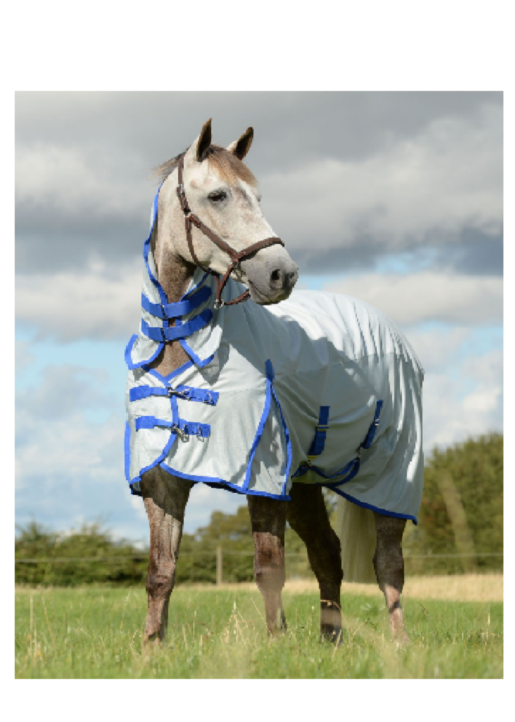 Weatherbeeta Weathetbeeta Comfitec Airflow Combo Vliegendeken (vaste hals)