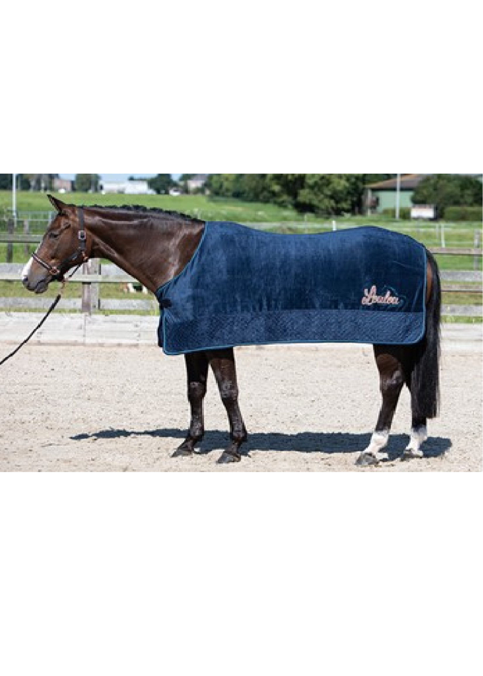 Harry’s horse Harry LouLou Fleece Deken