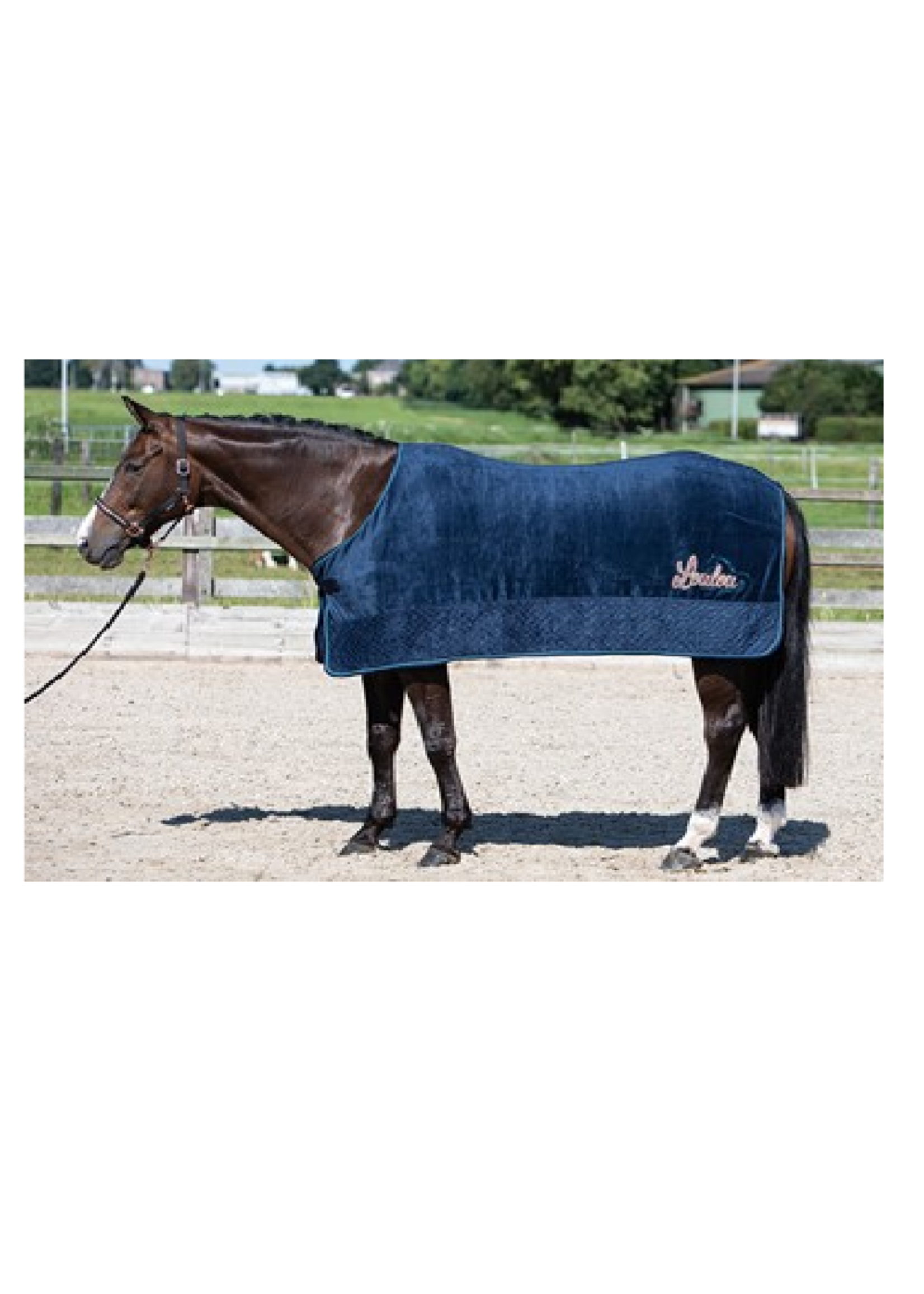 Harry’s horse Harry LouLou Fleece Deken