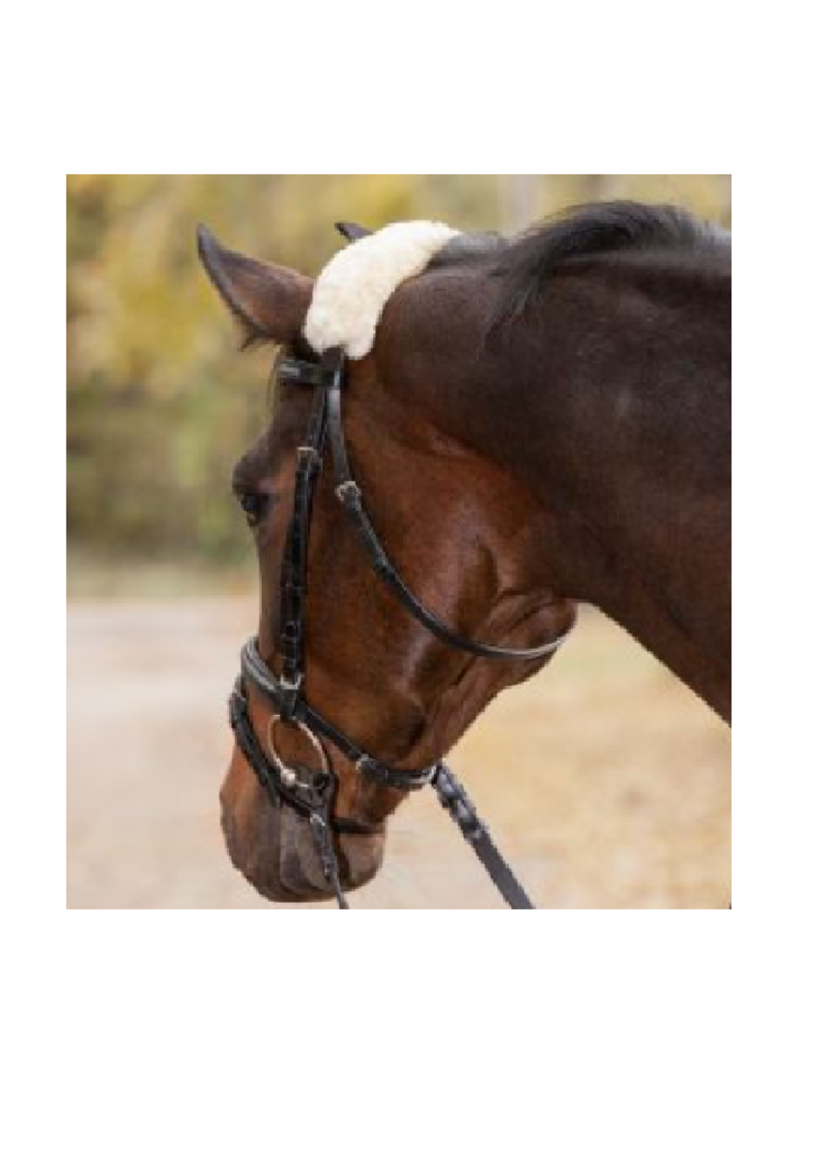 Waldhausen Waldh Schapenvacht Neus of Nekbeschermer 28cm