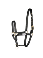 Harry’s horse Harry  Controller Halster