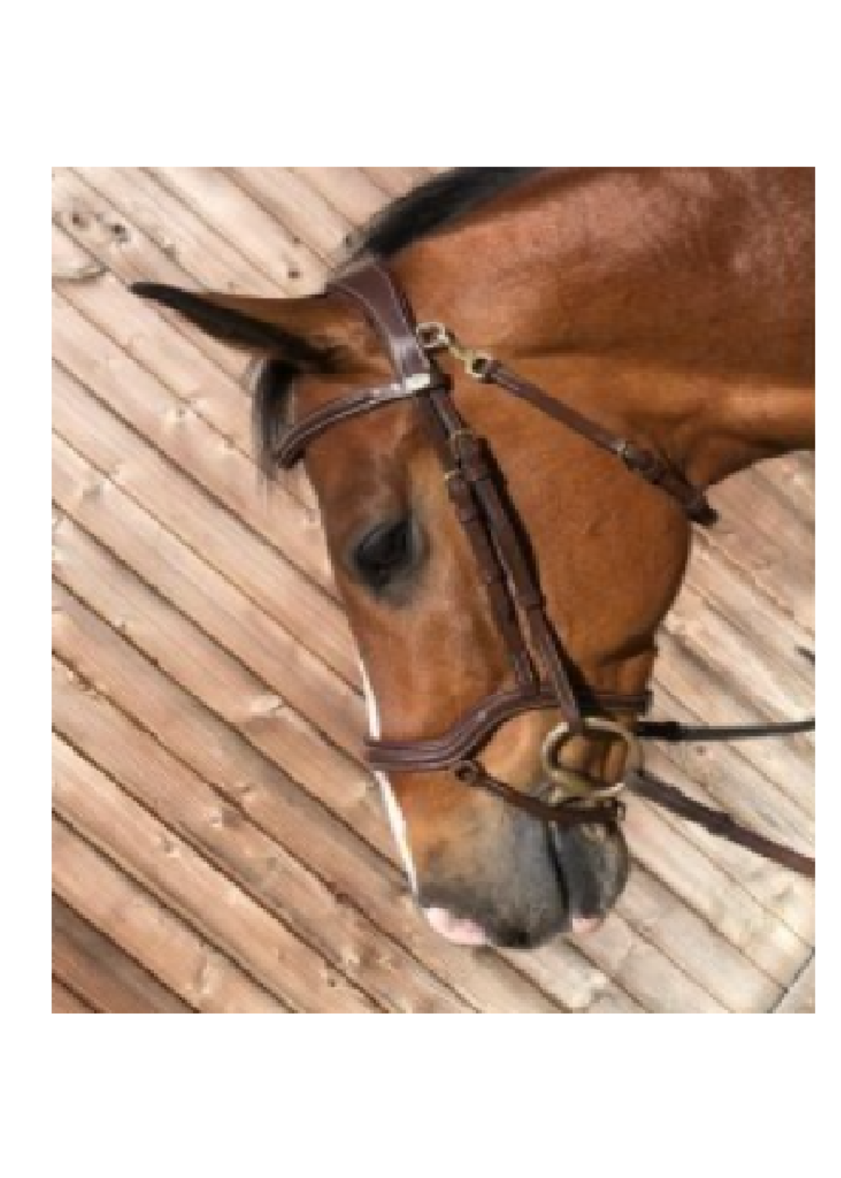 HFI HFI Techno Hoofdstel