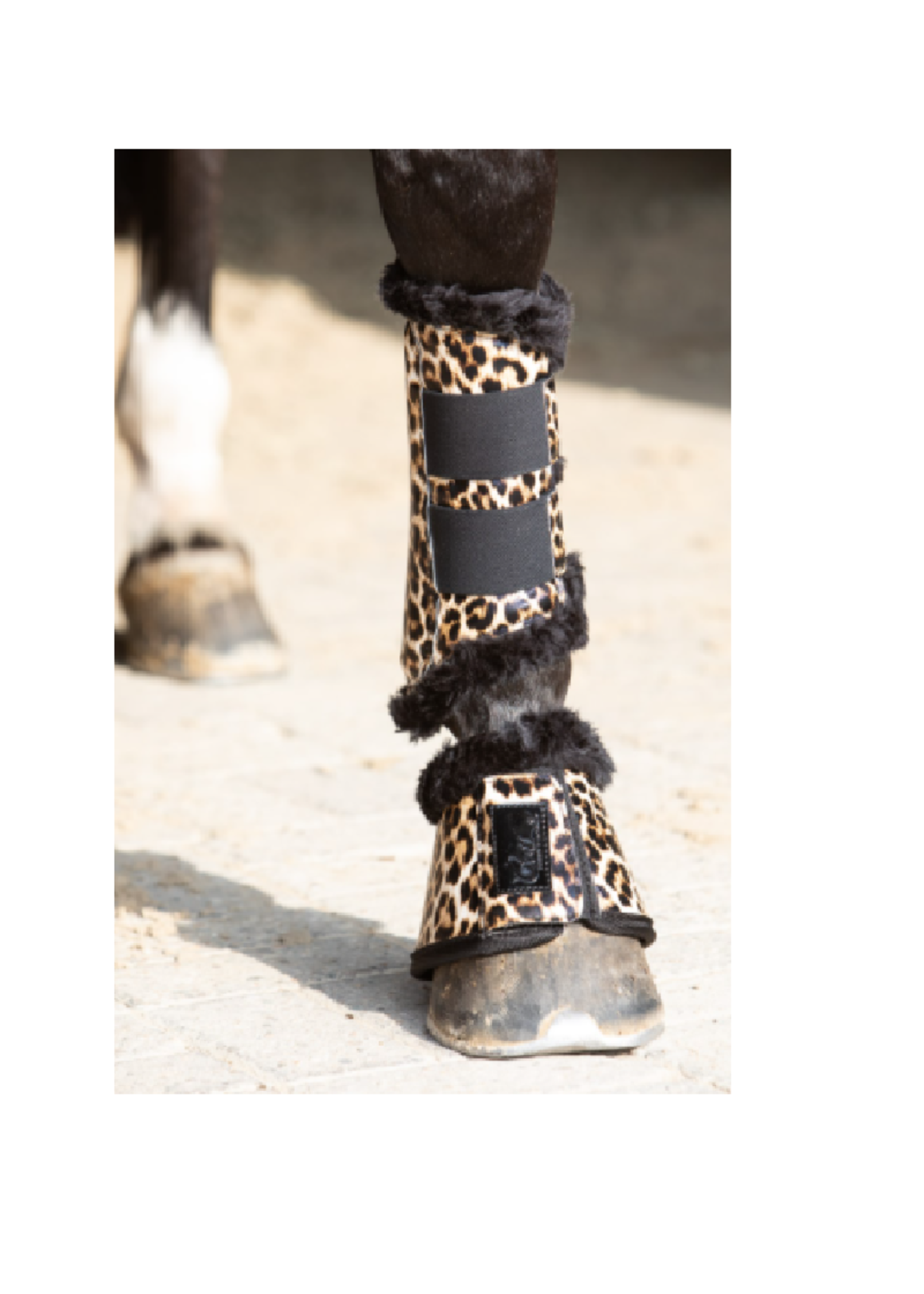 Harry’s horse Harry Cats Flextrainer Beenbeschermers