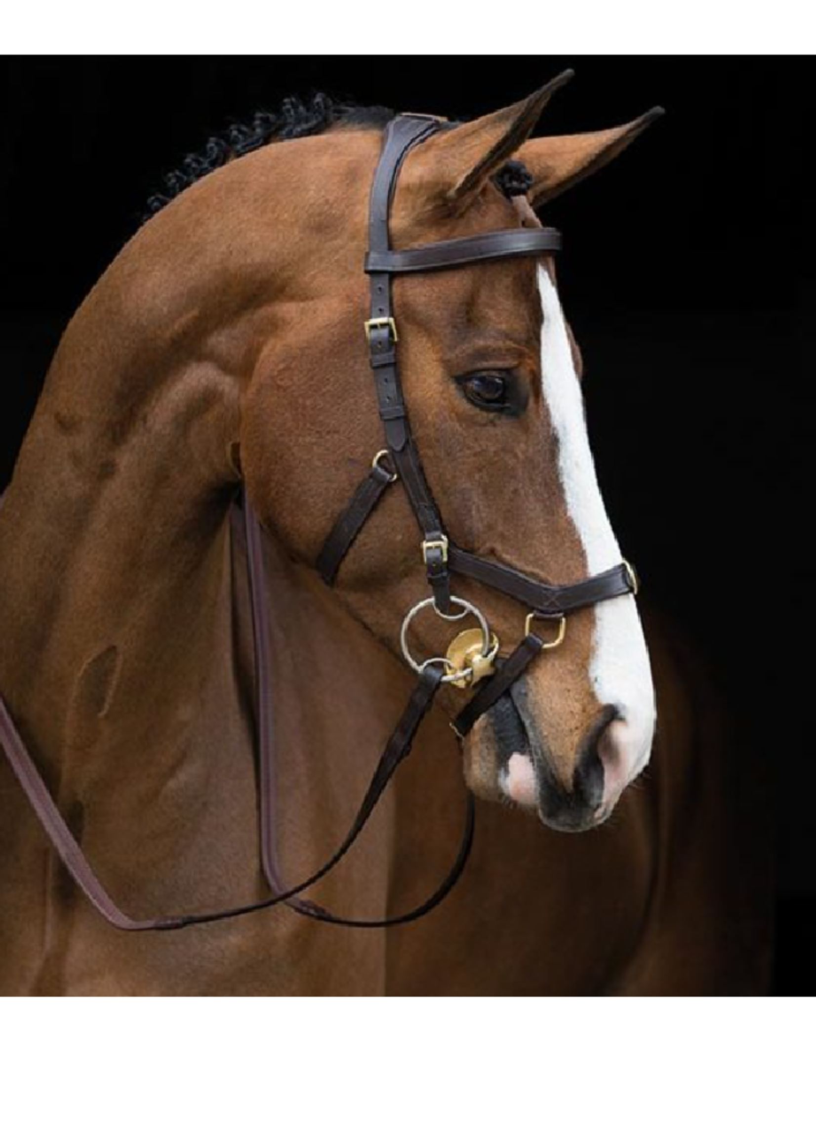 Horseware Horseware Rambo Micklem Multi Prof  Hoofdstel