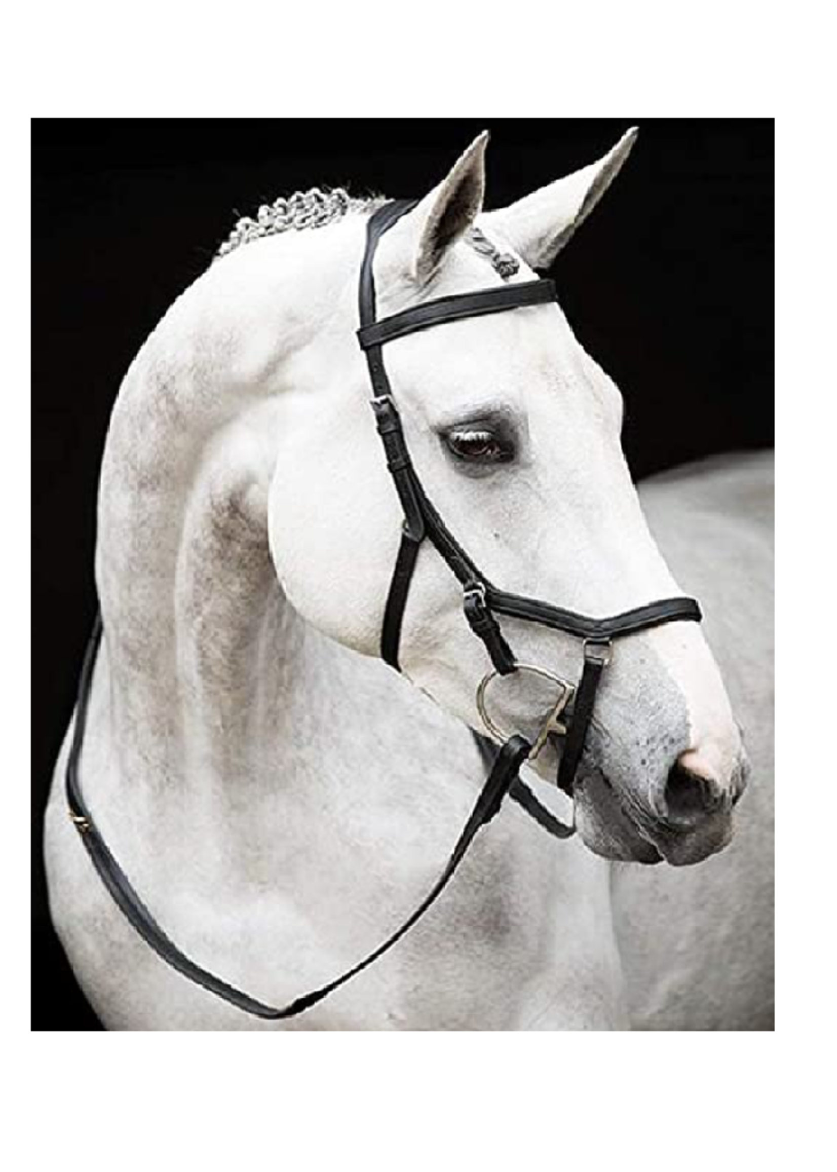 Horseware Horseware Rambo Micklem Multi Prof  Hoofdstel