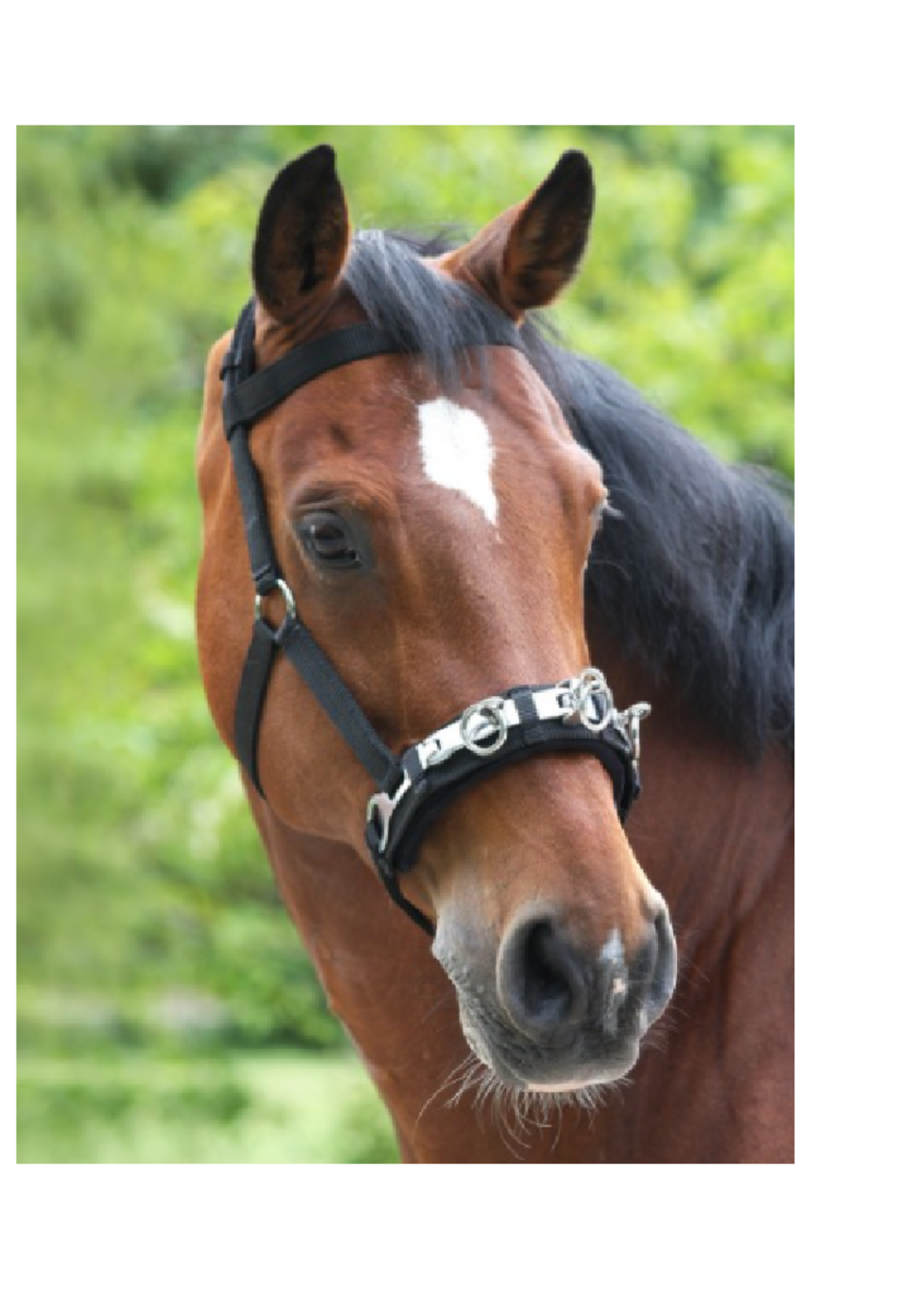 Waldhausen Waldh Cavesson  Nylon Kaptoom