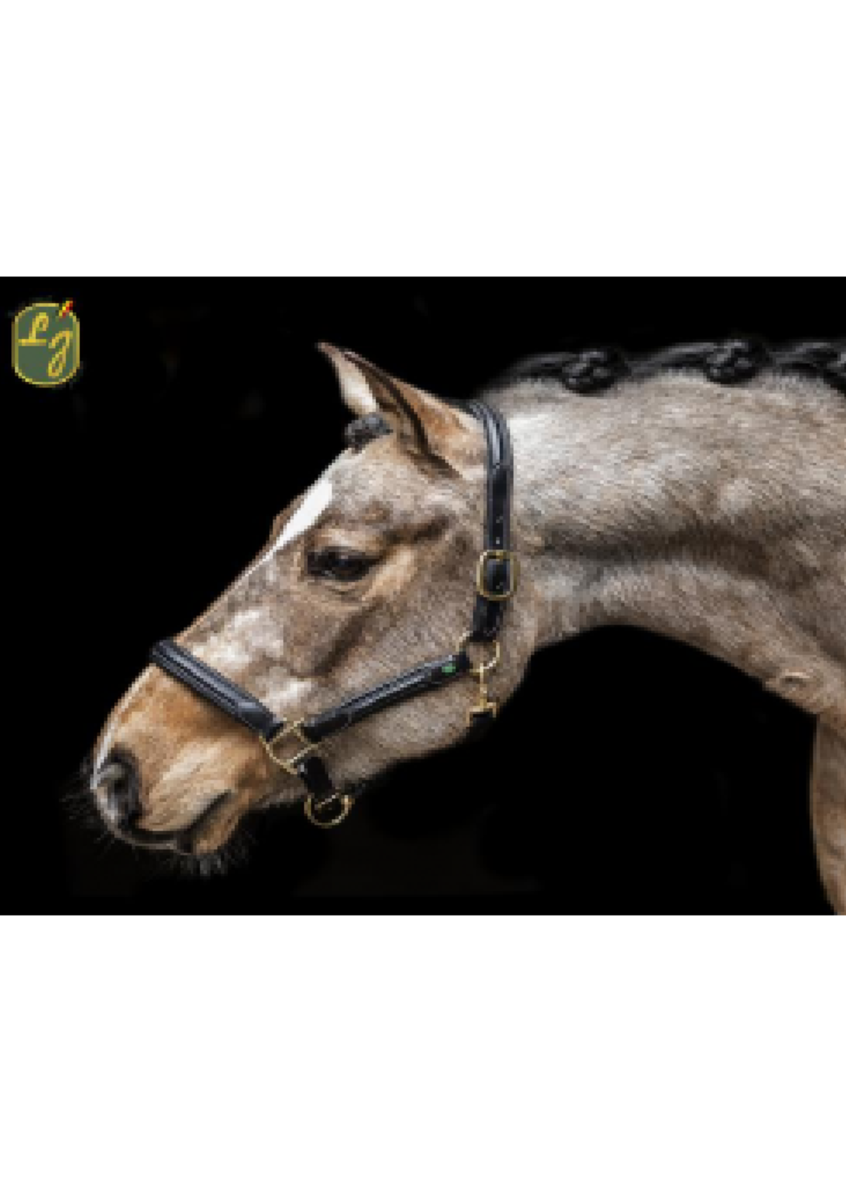 LJ Leathers LJ  Leren Halster