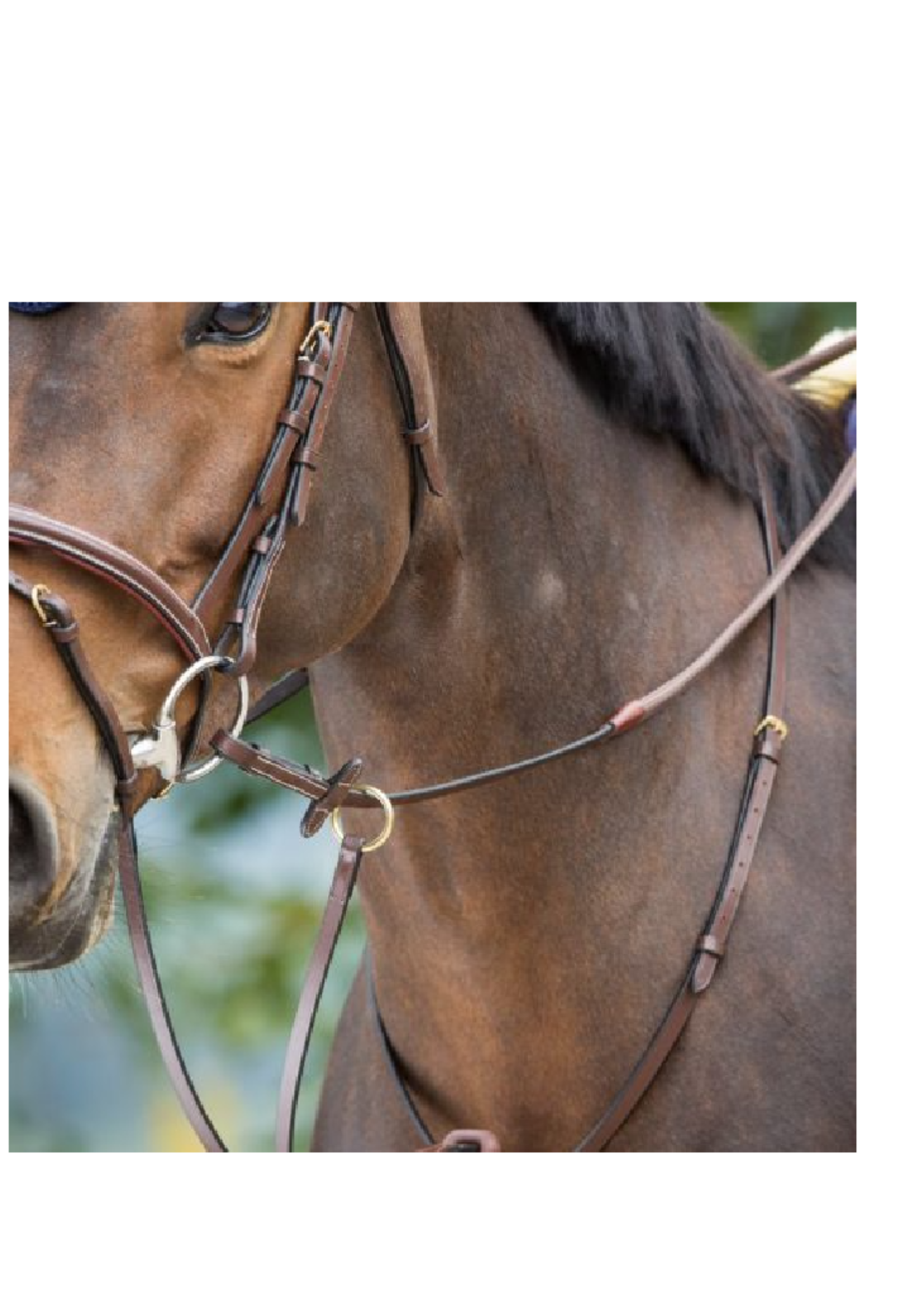 HFI HFI Martingale HFI107