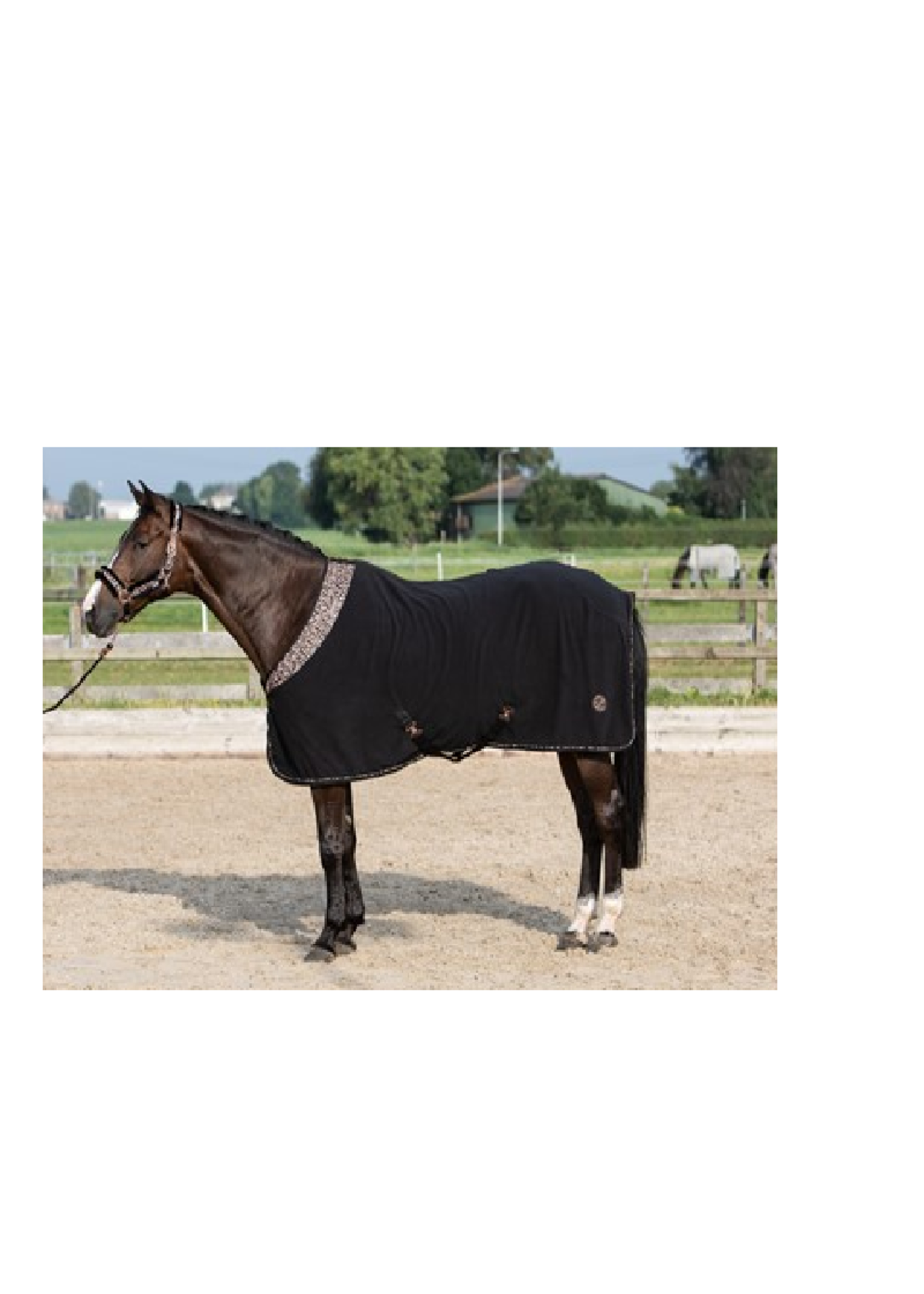 Harry’s horse Harry Cats Fleece Deken