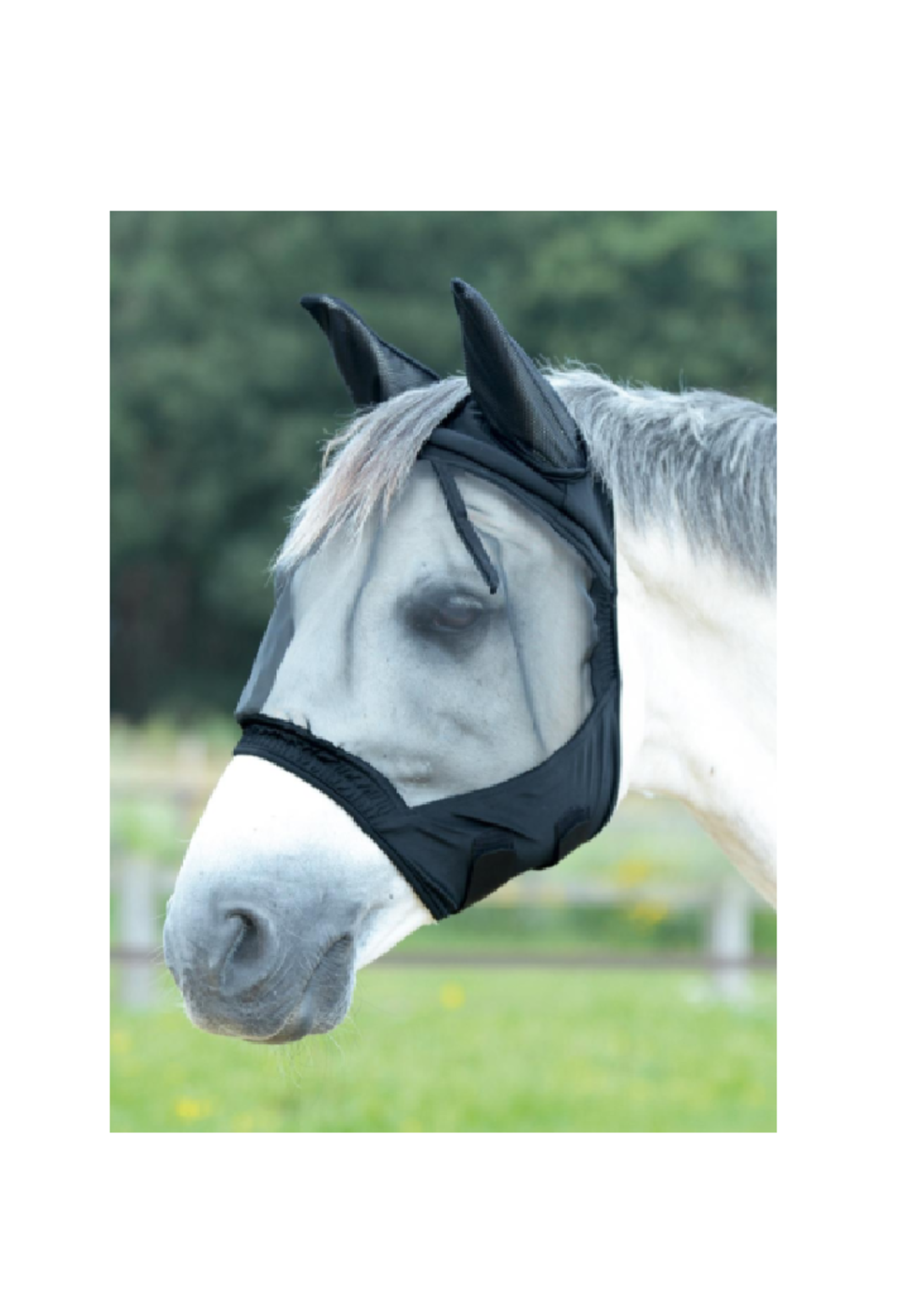 Busse Busse  Vliegenmasker met oren