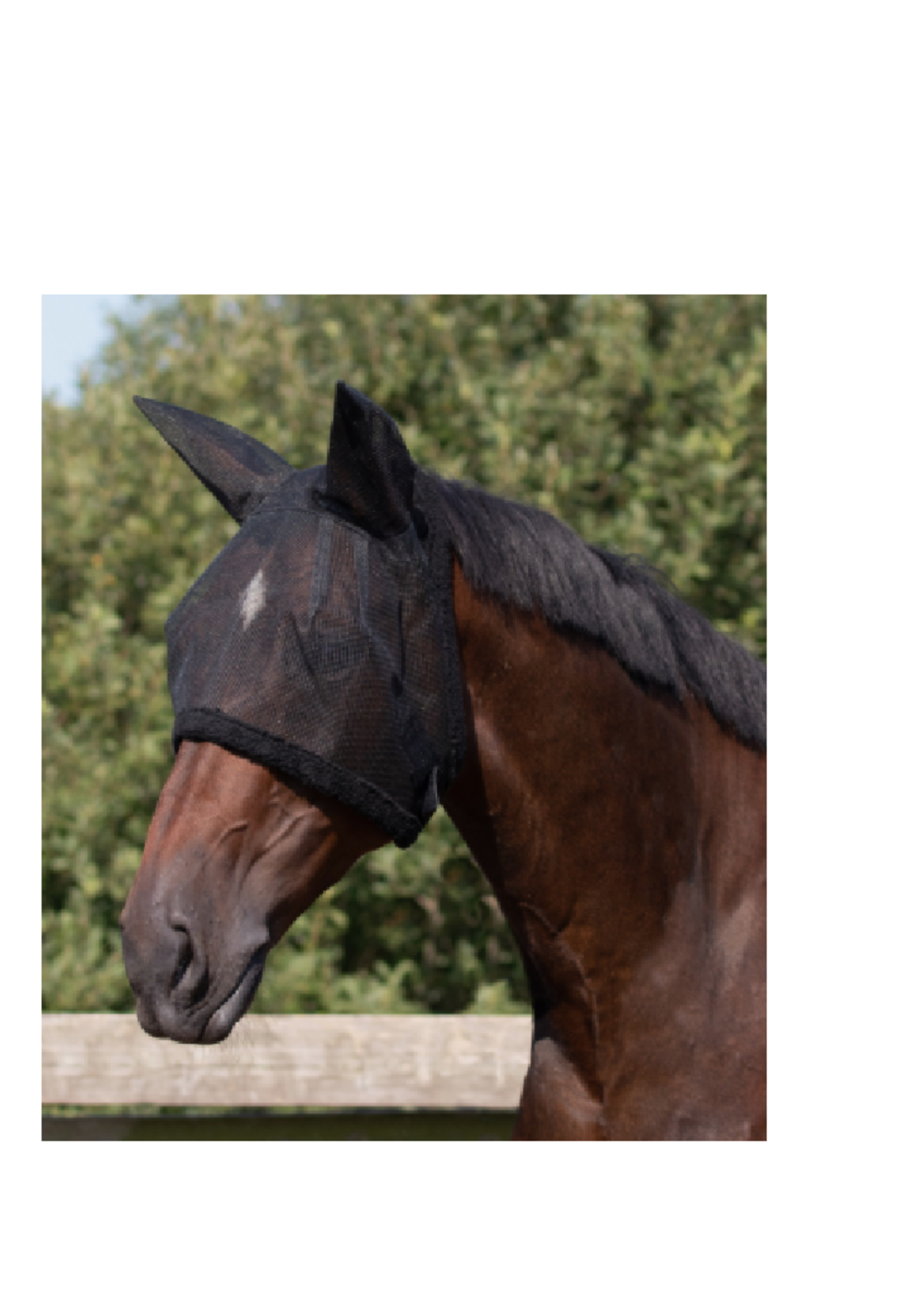 QHP QHP Vliegenkap met oren