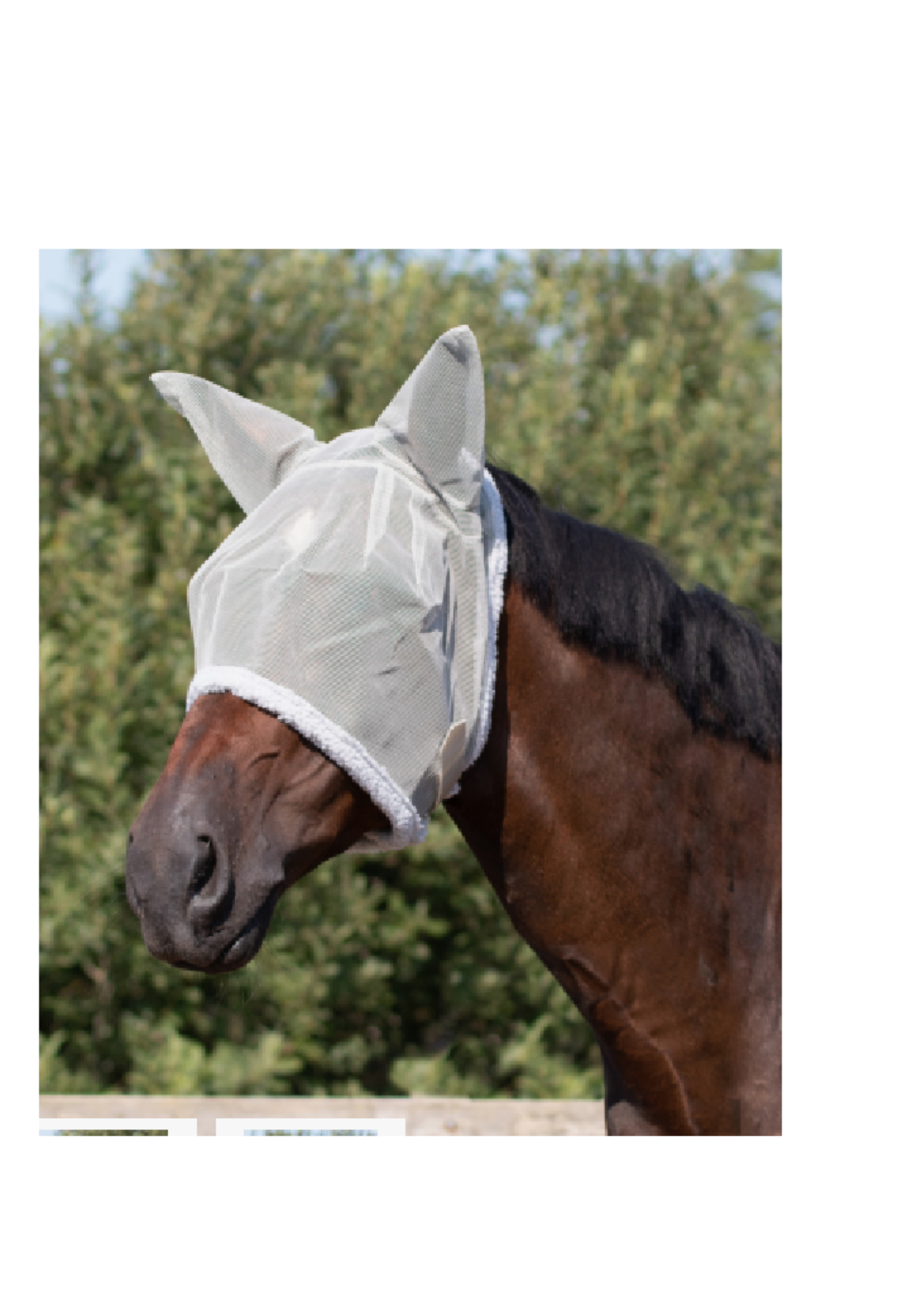 QHP QHP Vliegenkap met oren