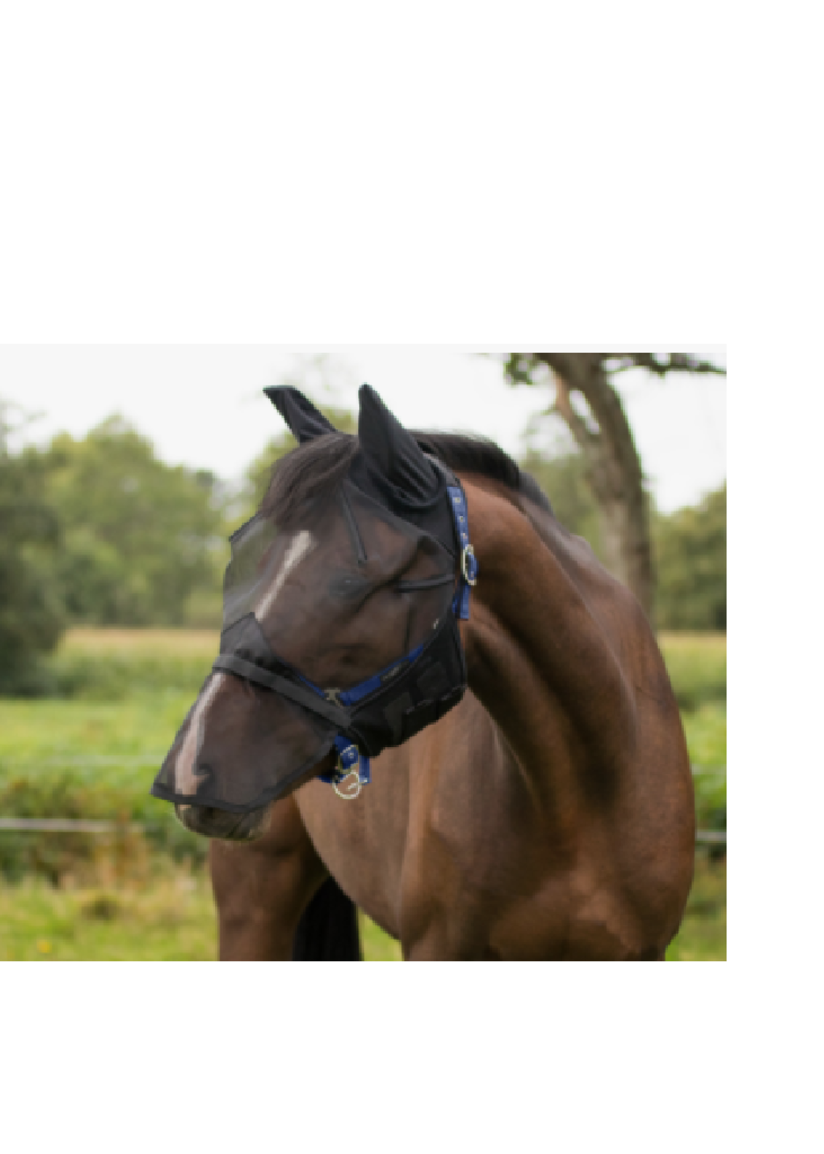 QHP QHP Vliegenkap afneembare neus